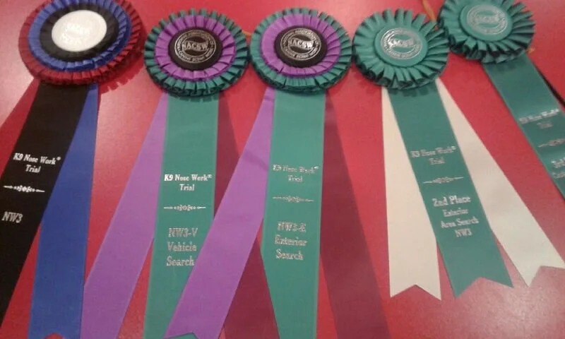 Linda and Carly - NW3 Title, NW3 Exteriors Title, NW3 Vehicles Title, and MORE!