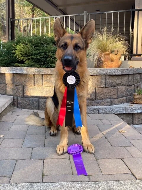 Christina and Jagger - NW1 Title &amp; 3rd Place Exteriors!