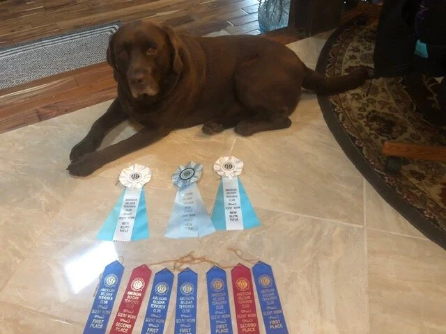 Terri and Timber - 3 New Titles, Five 1st places and Two 2nd places!  WOWZA