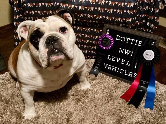 Krystal and Dottie - NW1 Title and Level 1 Vehicles Element Specialty Title!