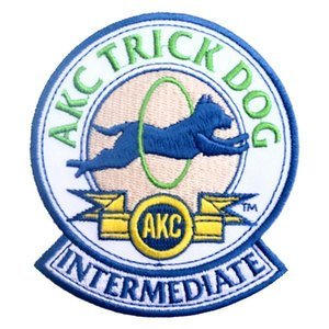 TrickDogIntermediatePatch feb 2016.jpg