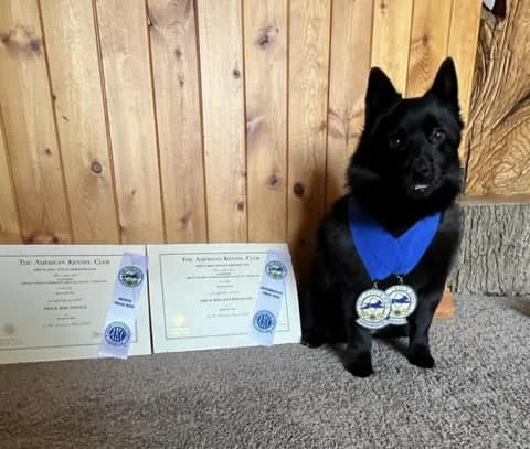 Beth and Nessa - AKC Novice Trick Dog Title and AKC Intermediate Trick Dog Title!