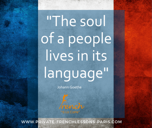  French Political Vocabulary  : Background On The Presidential Election.