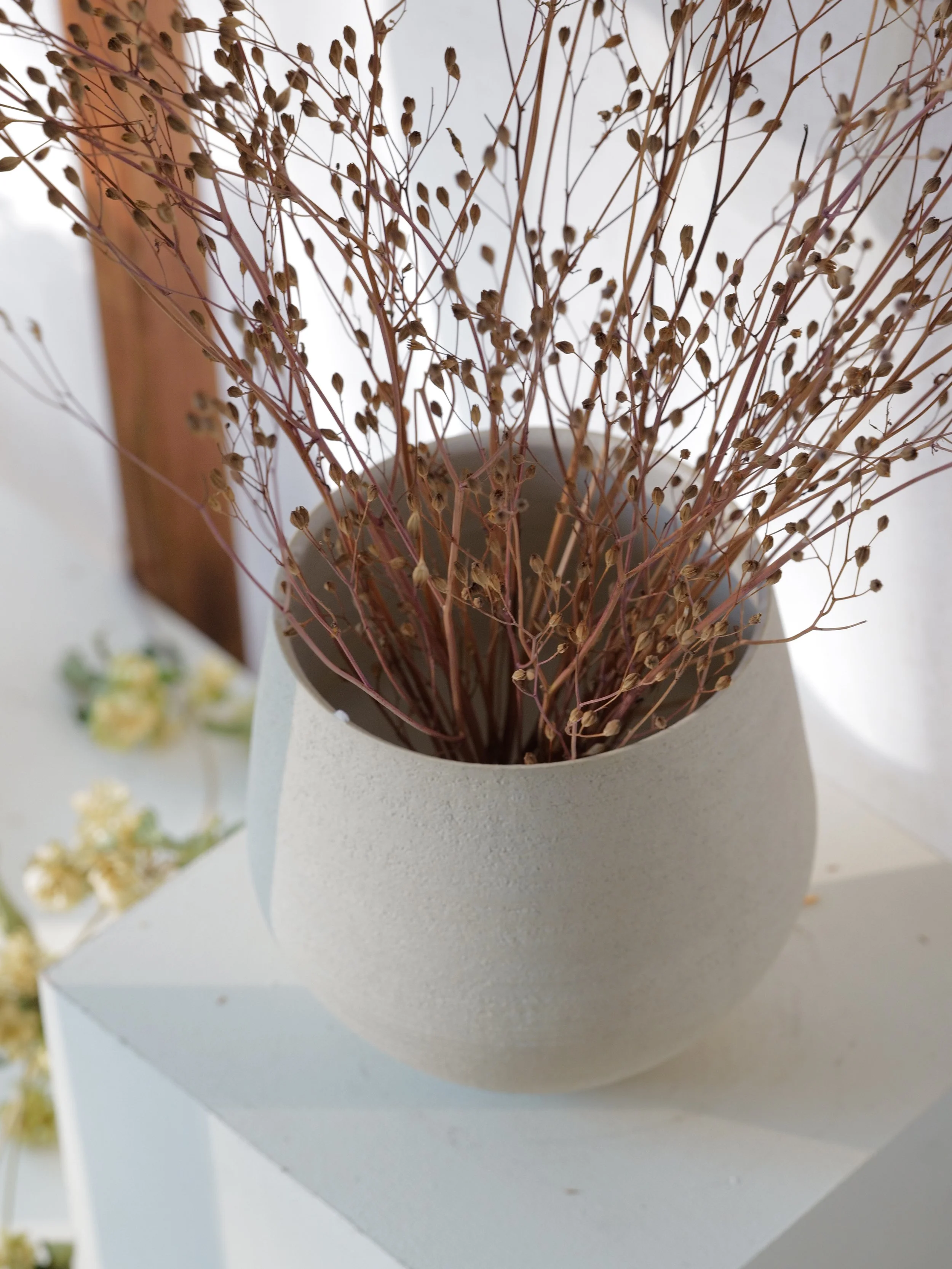 DO01040096.JPG (Copy) (Copy) (Copy) (Copy)