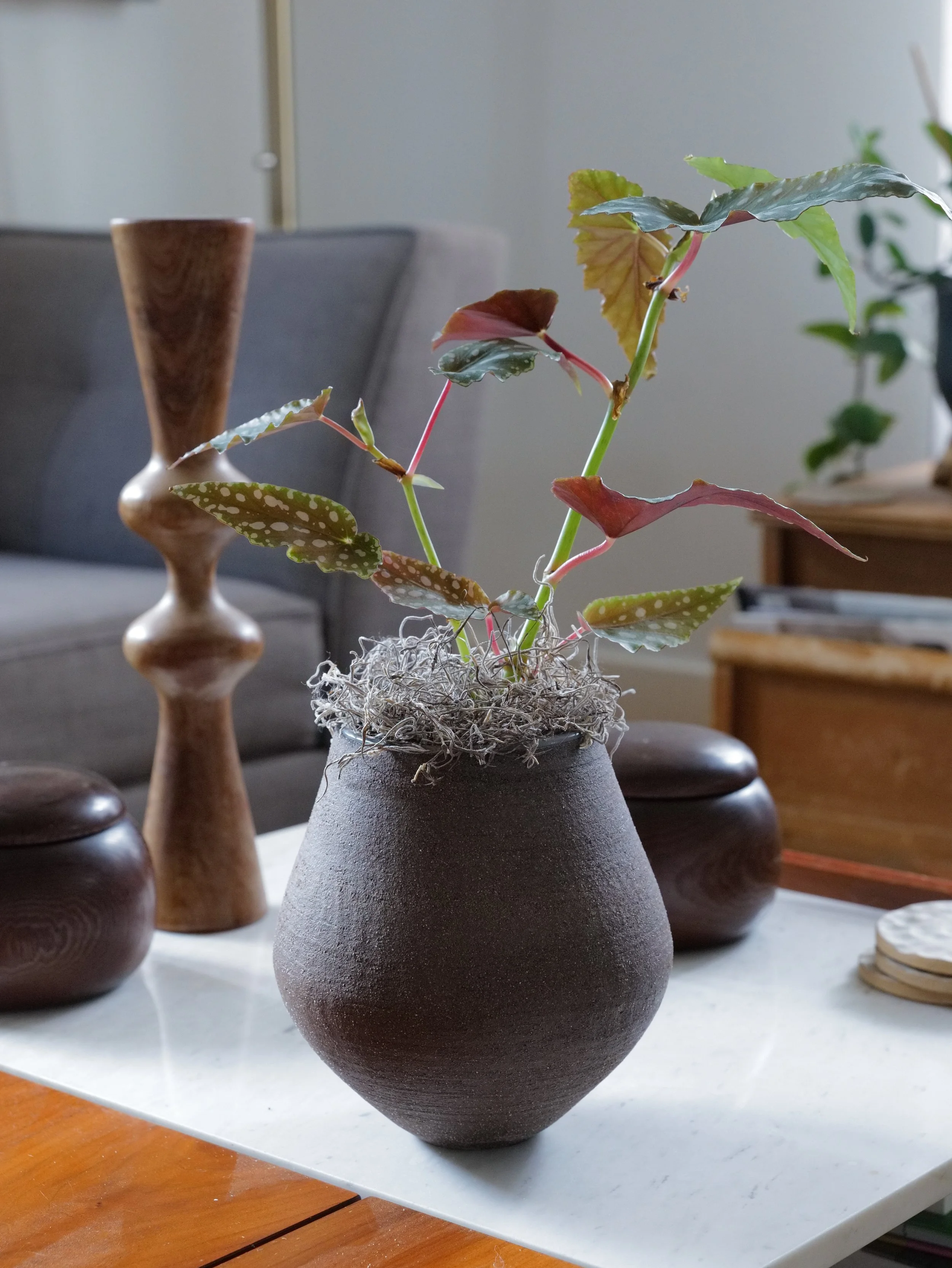 DO01040356+2.png (Copy) (Copy) (Copy) (Copy)