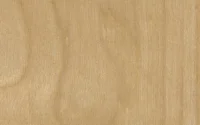 Birch