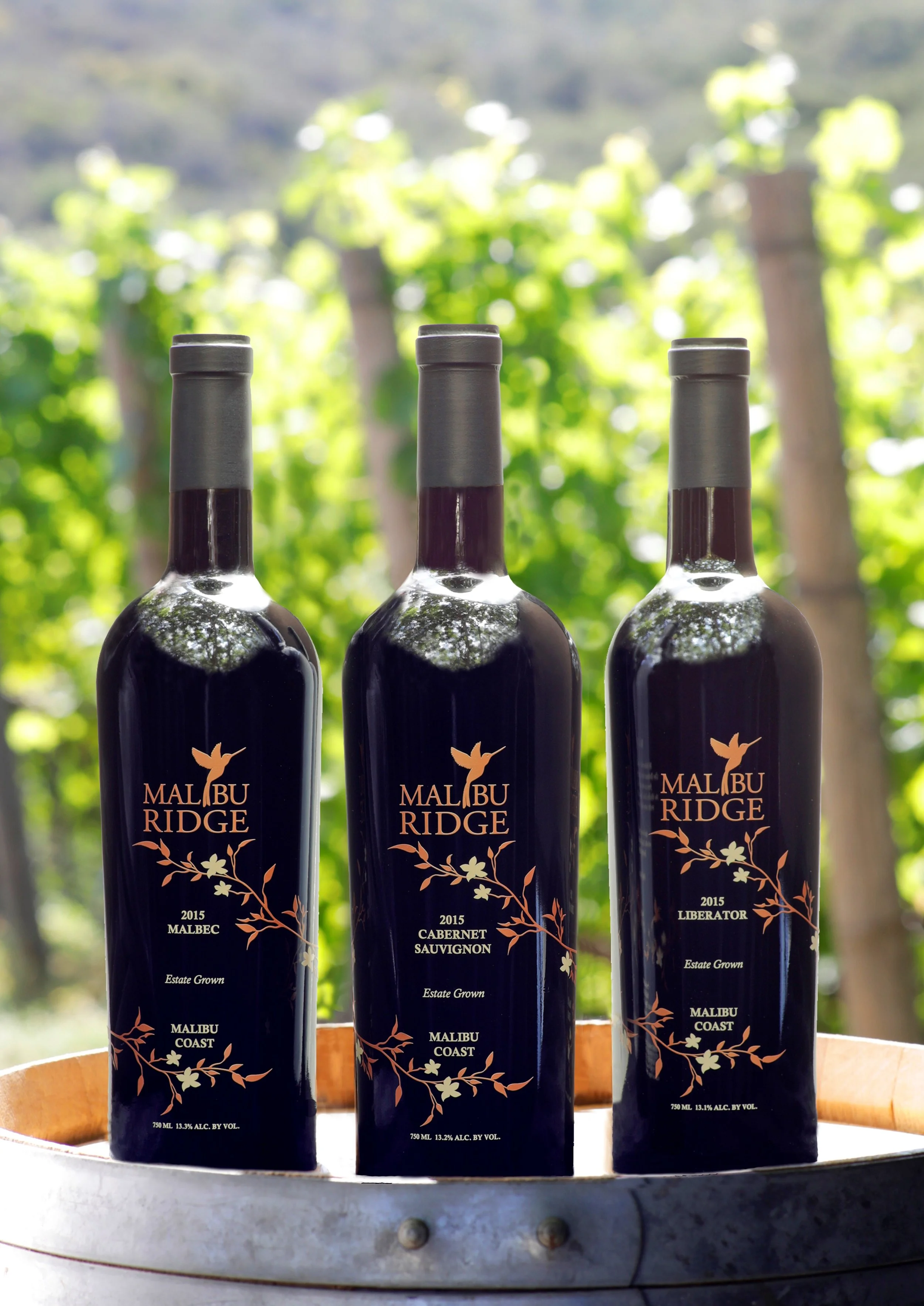 MR 3 bottle vineyard pic2.jpg