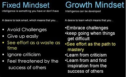 growth fixed mindset 2.jpg