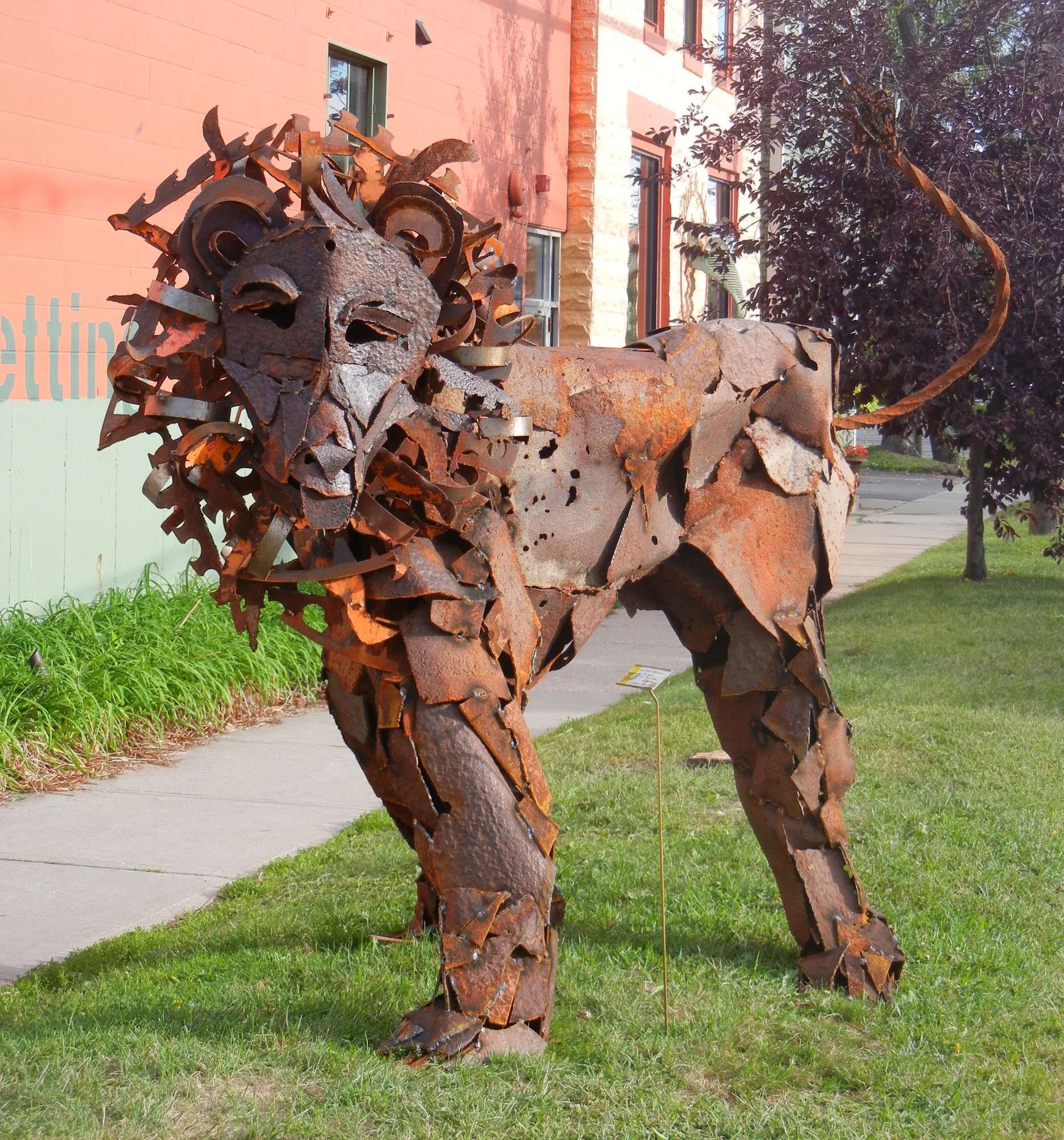 DSCN1522.JPG