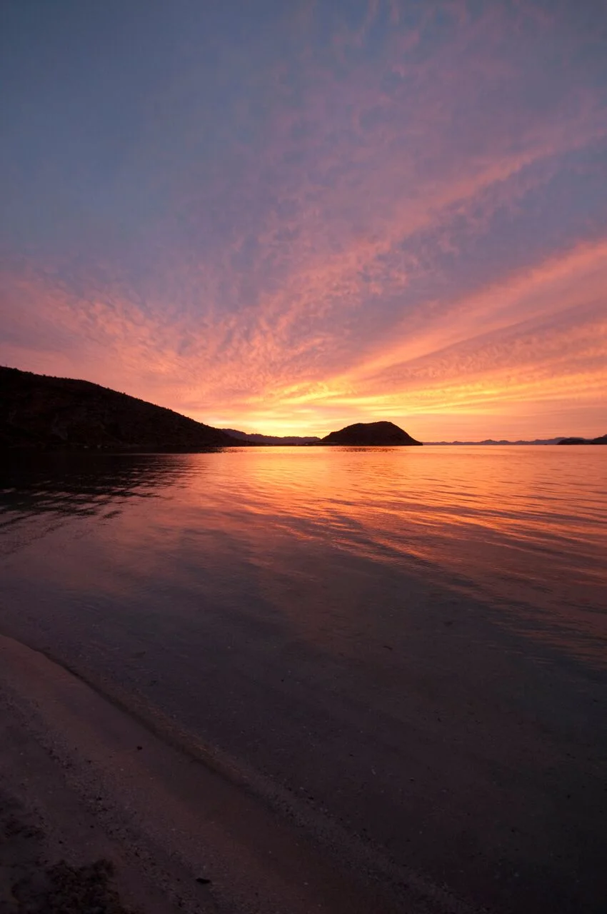 dropbox 94_preview.jpeg