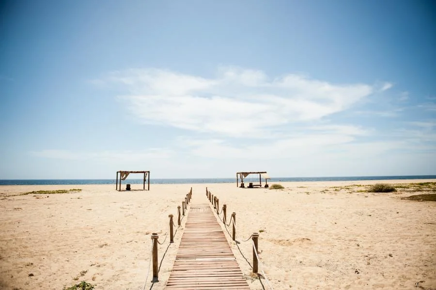 File May 13, 2 01 10 PM.jpeg