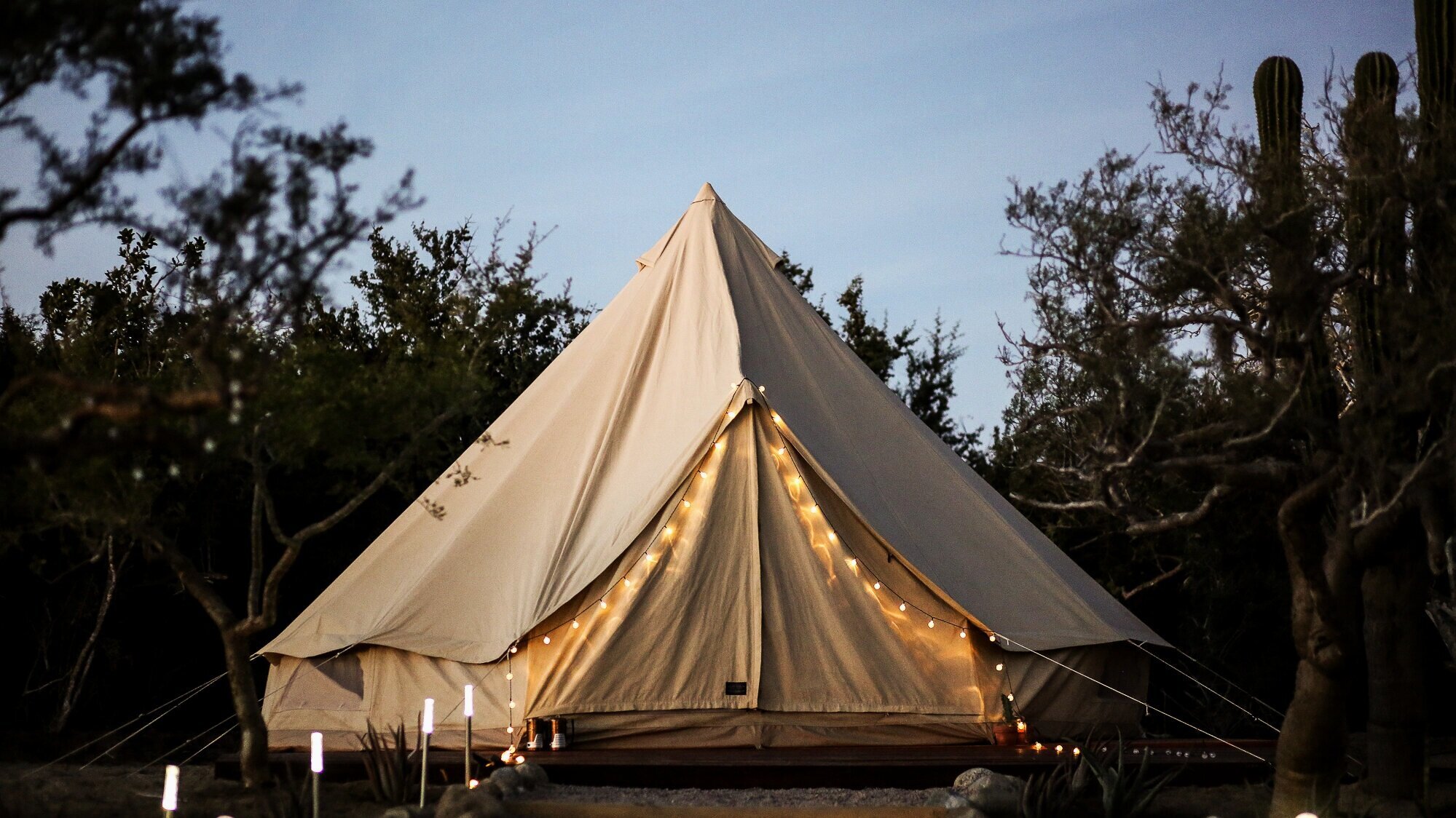 tent.solar.bushes.5.1010.jpg