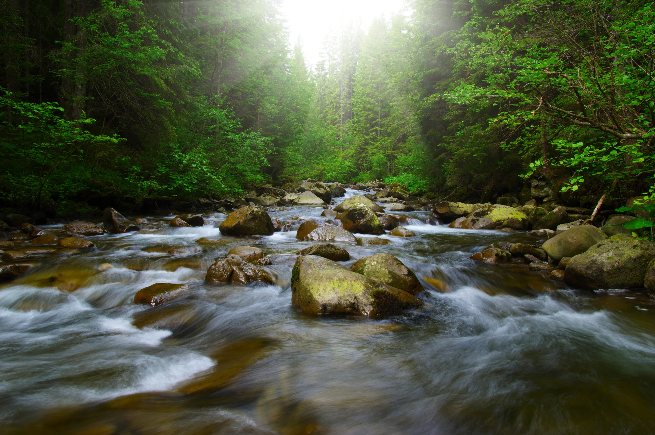 AdobeStock_93903219.jpeg
