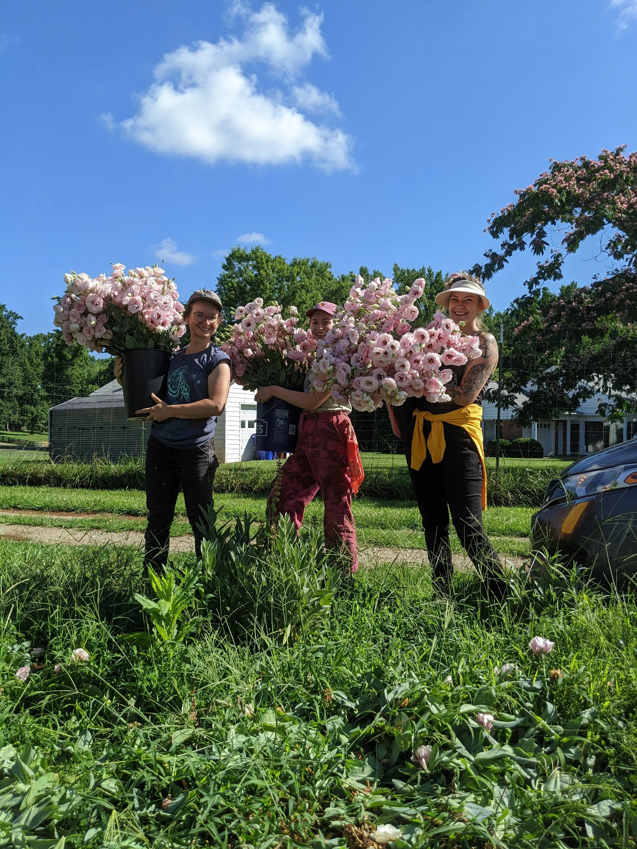 Three women standing in a garden holding large bunches of pink flowers with green foliage in the foreground, a clear blue sky with a few clouds, trees, and a white house in the background.