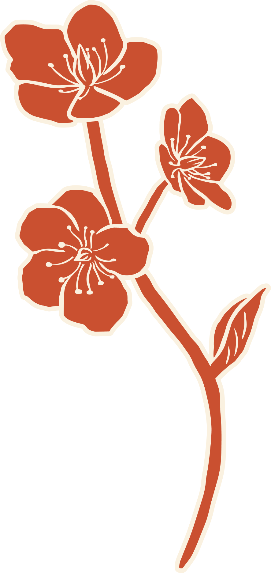 Illustration of a branch with three orange flowers and a leaf against a black background.