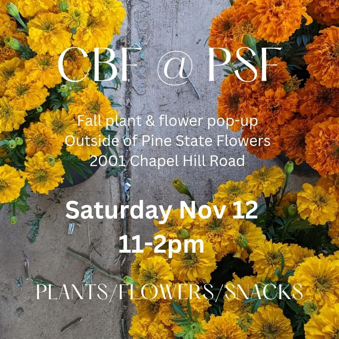 Surprise! (If you've been following this business for any length of time you know we're all about a last minute surprise). We'll be outside @pinestateflowers THIS Saturday, Nov 12 from 11-2 pm where we'll have plants, heirloom mums, &amp; marigolds f