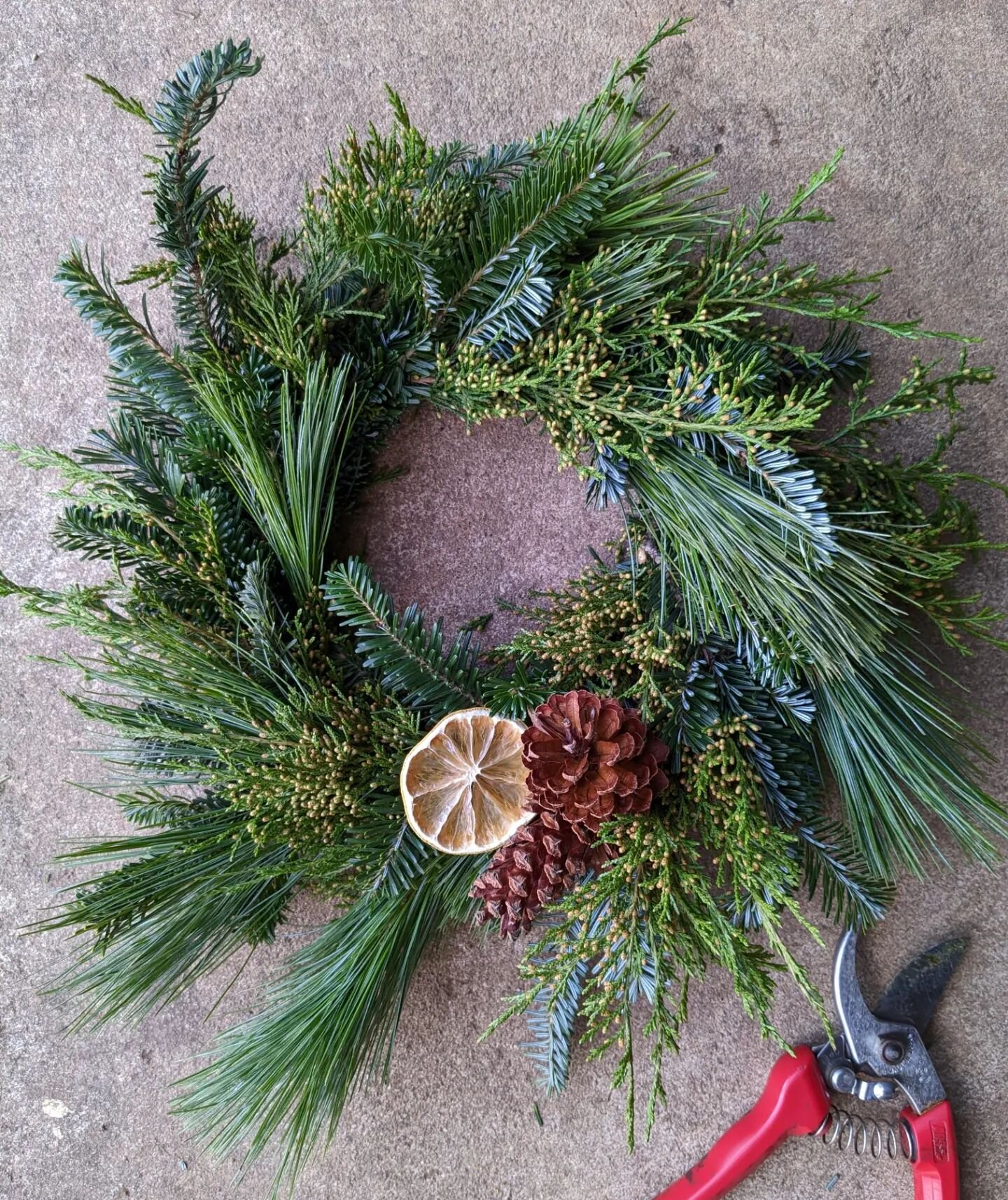 Last call for #wreaths &amp; #plants before winter break! The Web-Shoppe-Link-In-Bio&trade;️ is open for pick up only during a few days next week/end. There are quite a few styles to choose from, but all in limited quantities. If you missed our pop-u