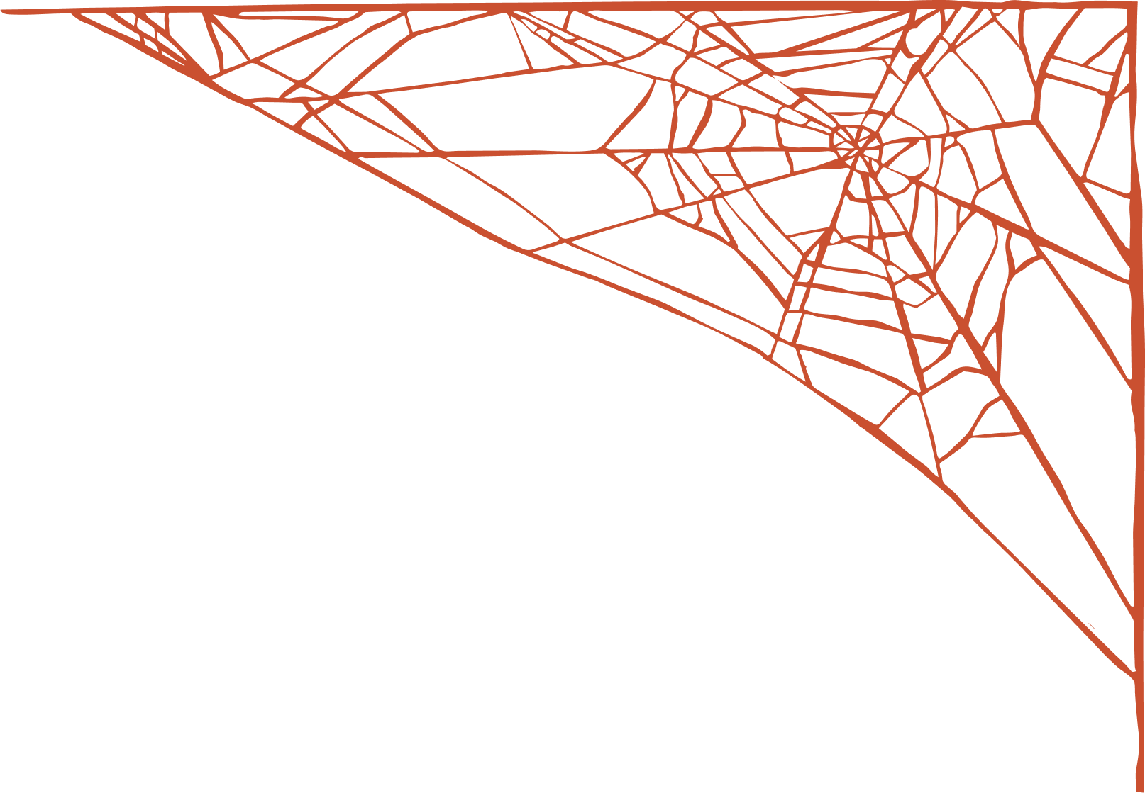 Close-up of a spider web with a black background and orange lines forming the web pattern.