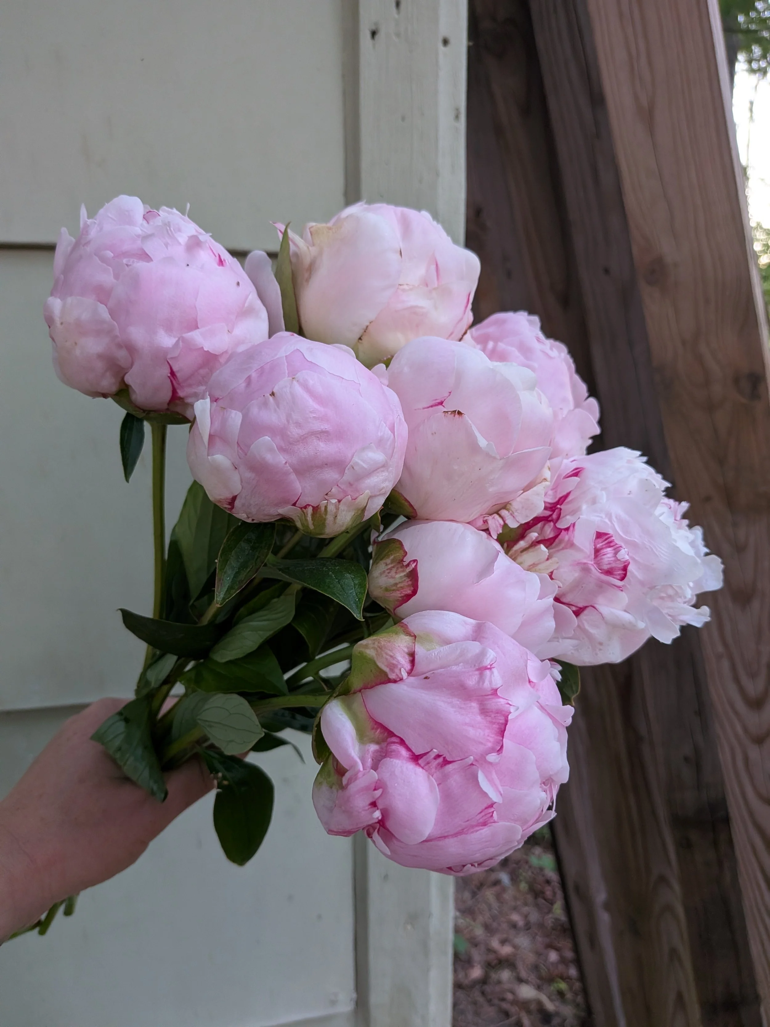 PXL_20260505_234734957.jpg