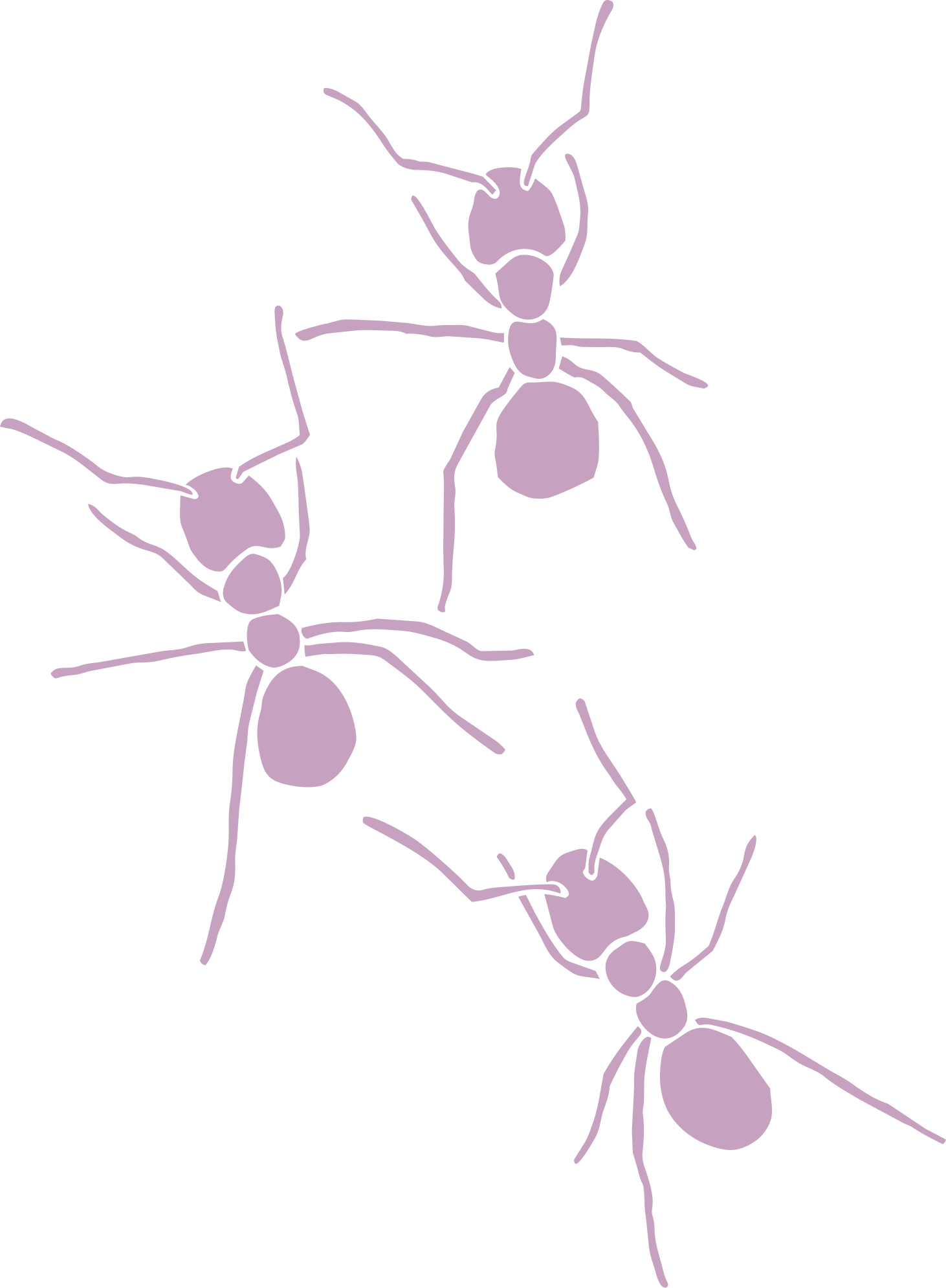Line drawing of multiple interconnected ants in light purple on a black background.