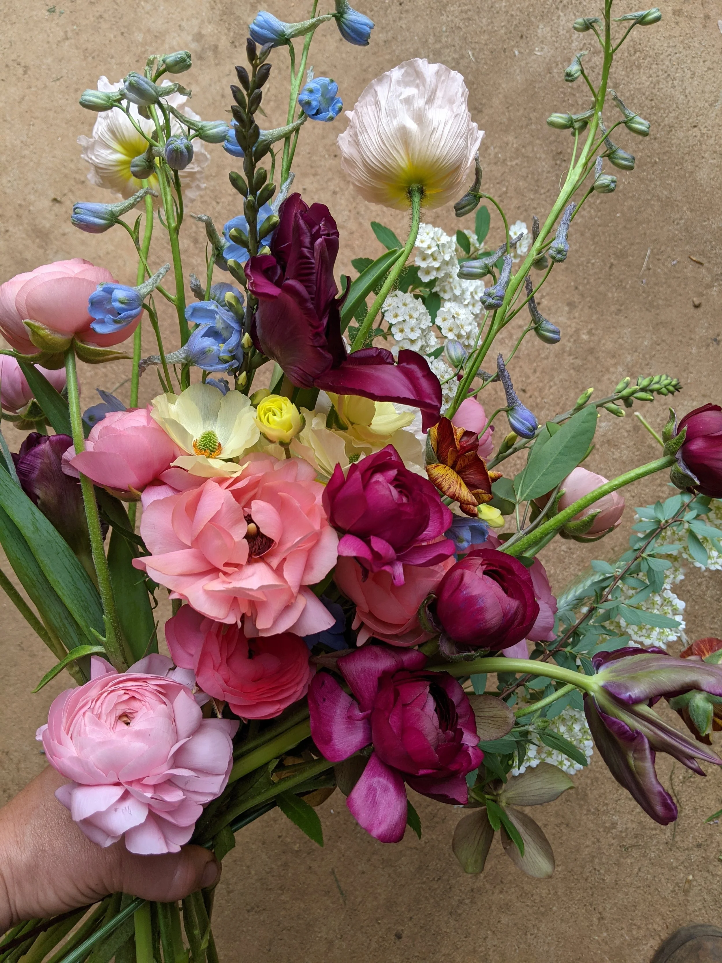 PXL_20210417_183445176.jpg