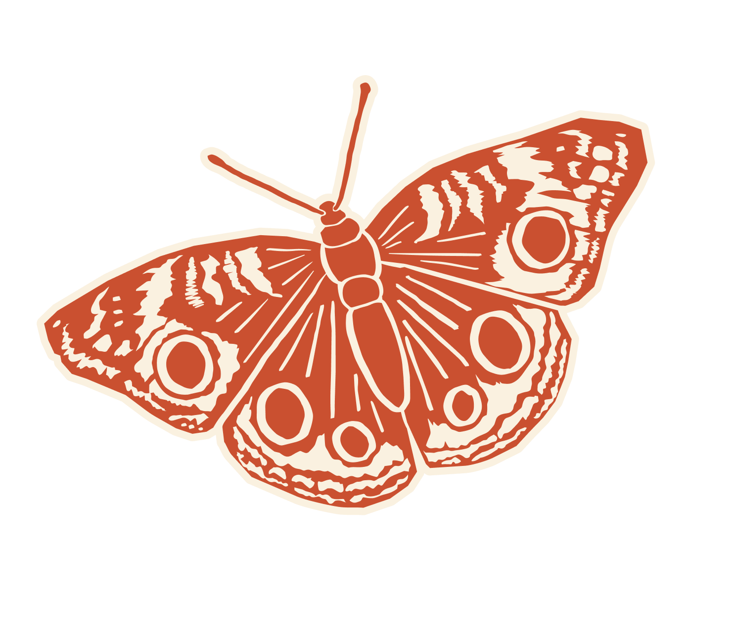 Illustration of a butterfly with orange and beige patterned wings against a black background.