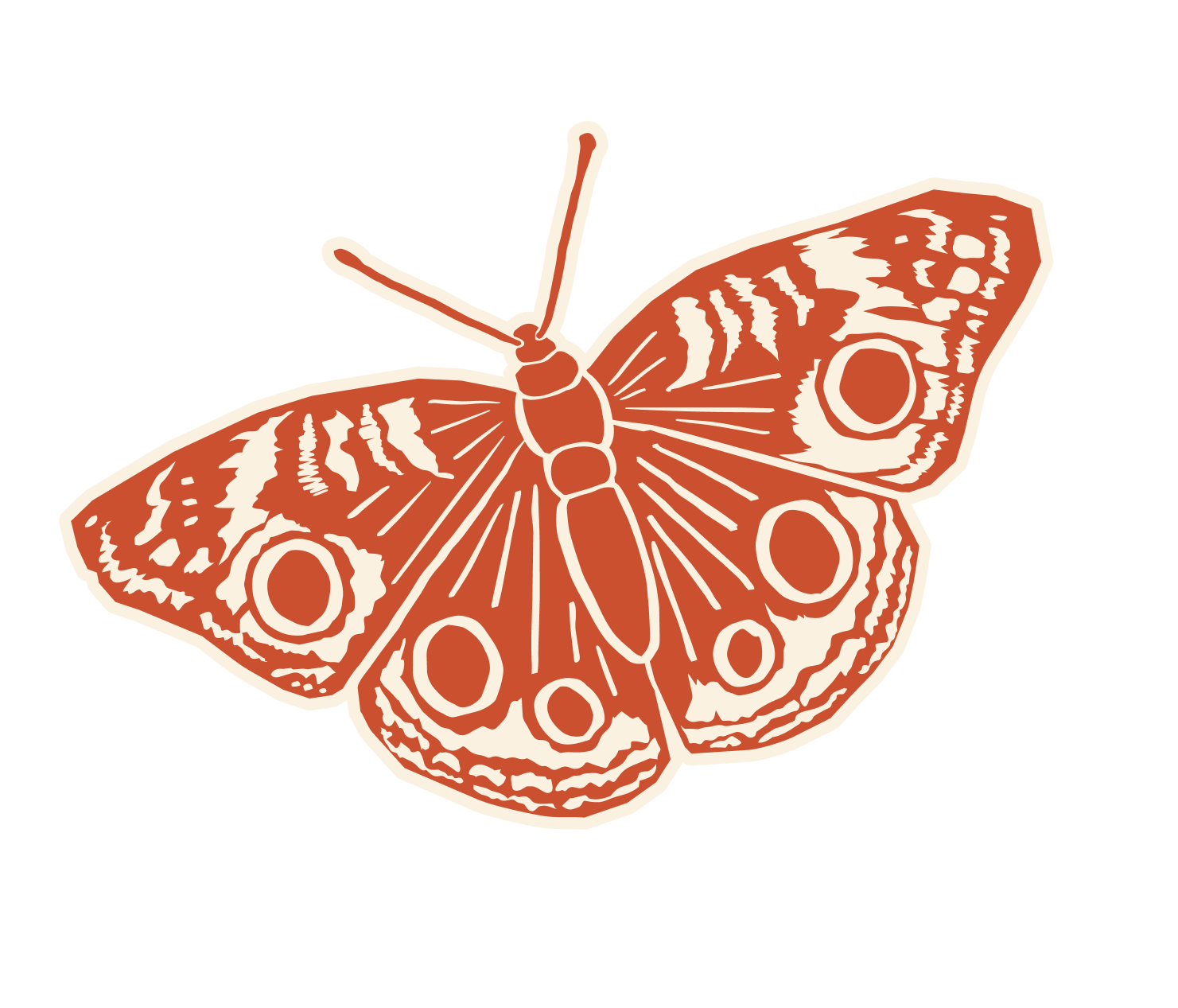 Illustration of a butterfly with detailed wing patterns in reddish-brown and cream colors.
