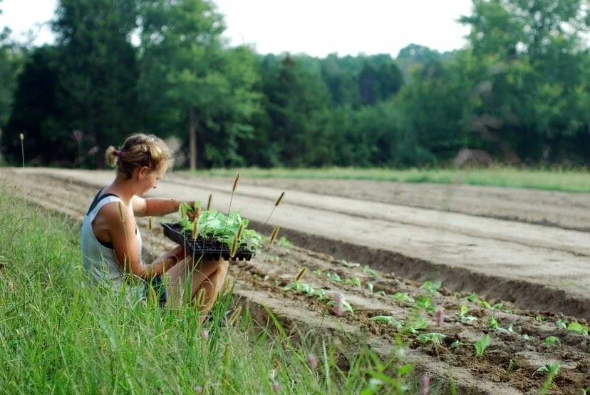 A young girl sitting on the grass planting seedlings in a garden bed in a rural area.