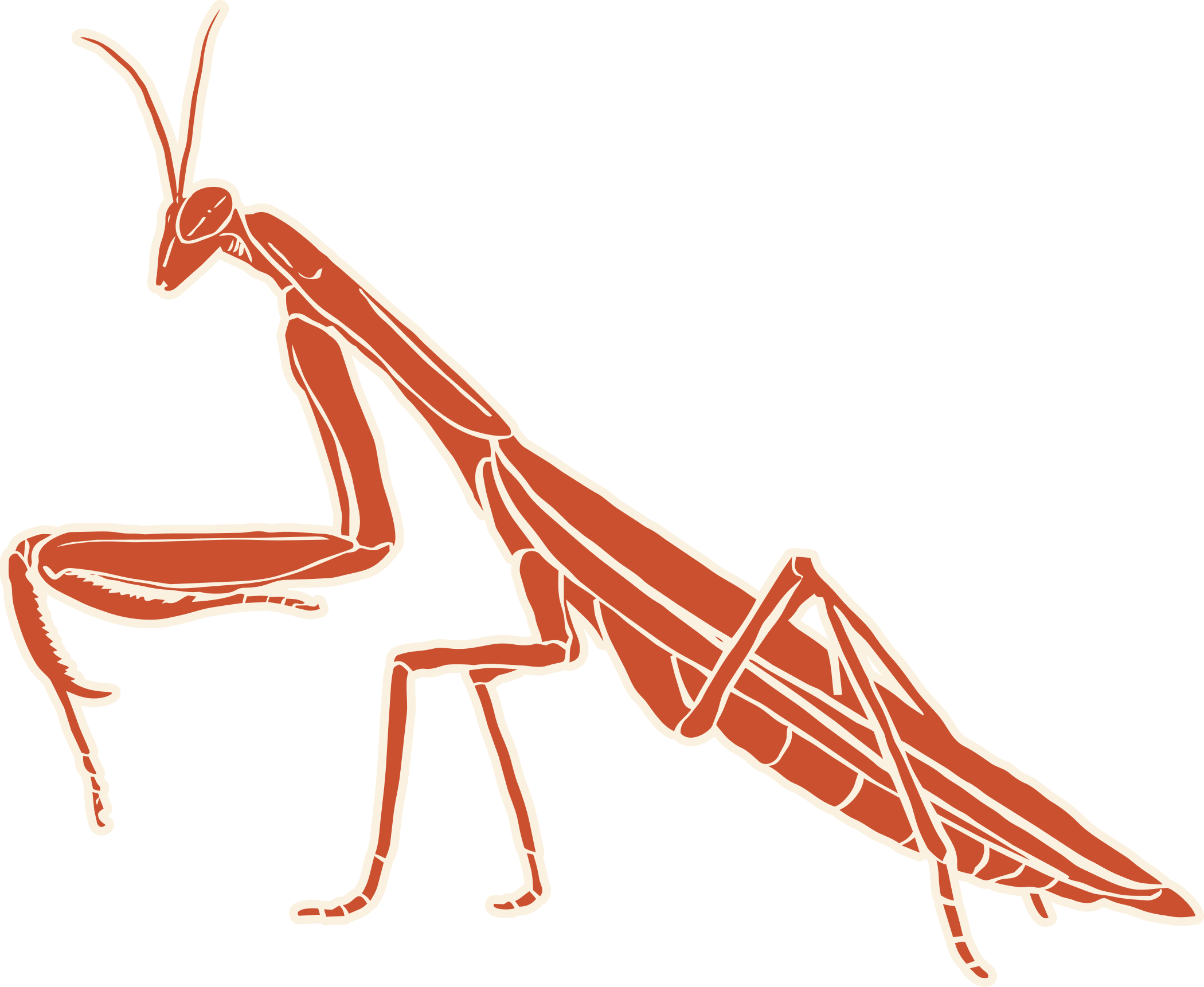 An anatomical illustration of a giraffe highlighting the muscles and skeletal structure.