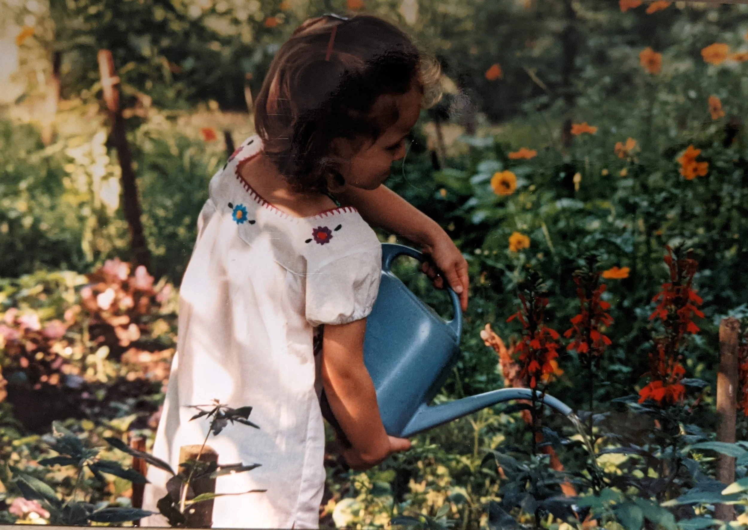 A young girl with dark hair tied back, watering plants with a blue watering can in a garden filled with green foliage and orange flowers.
