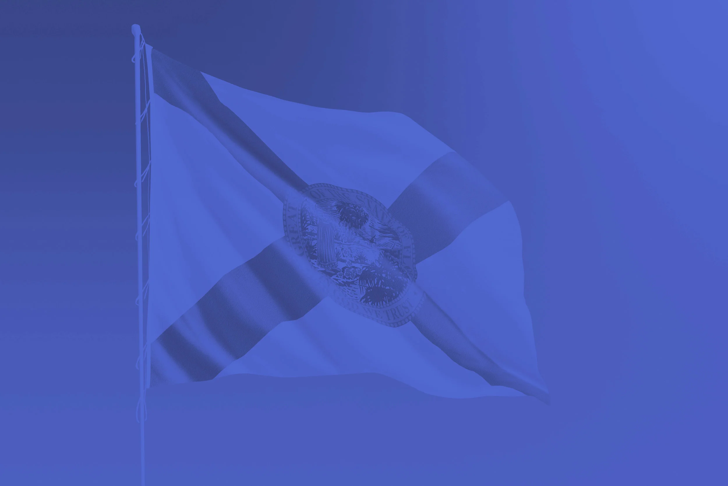 flaflag_indig.jpg