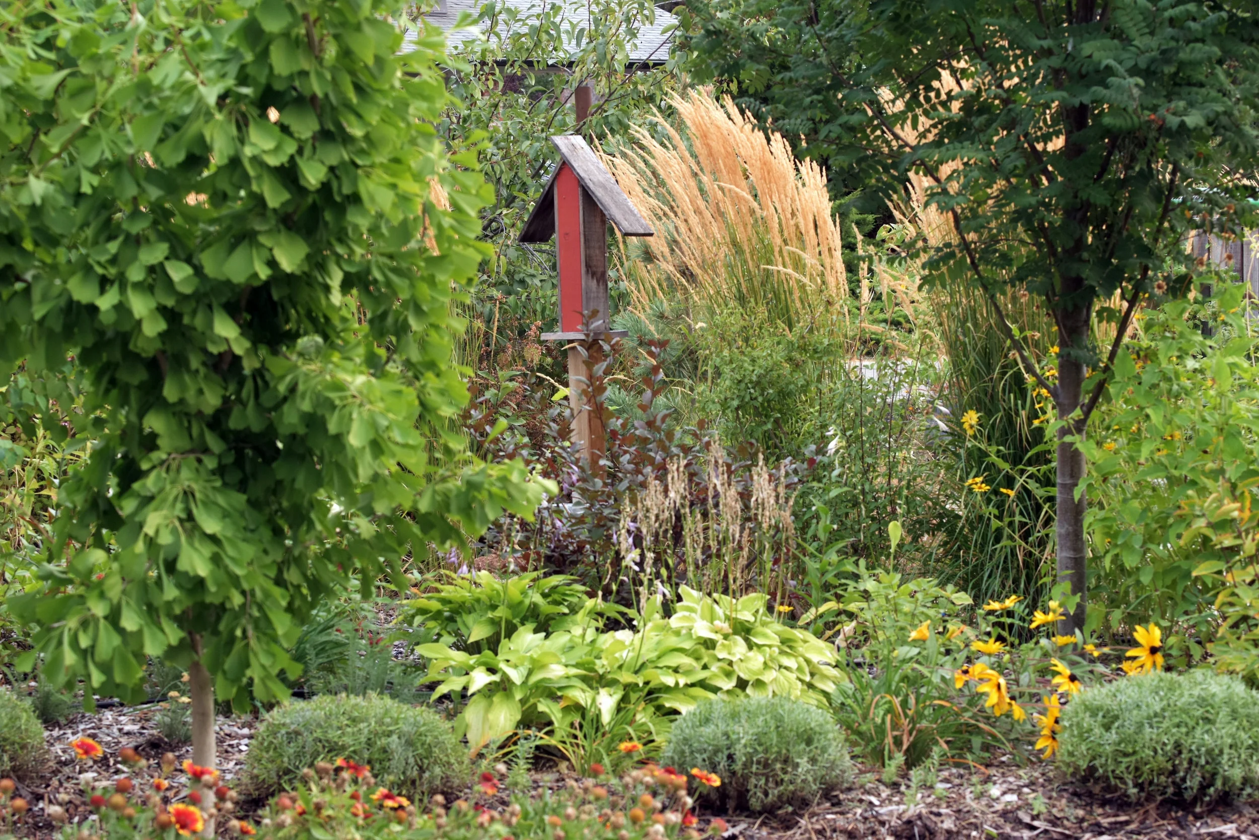 Permaculture