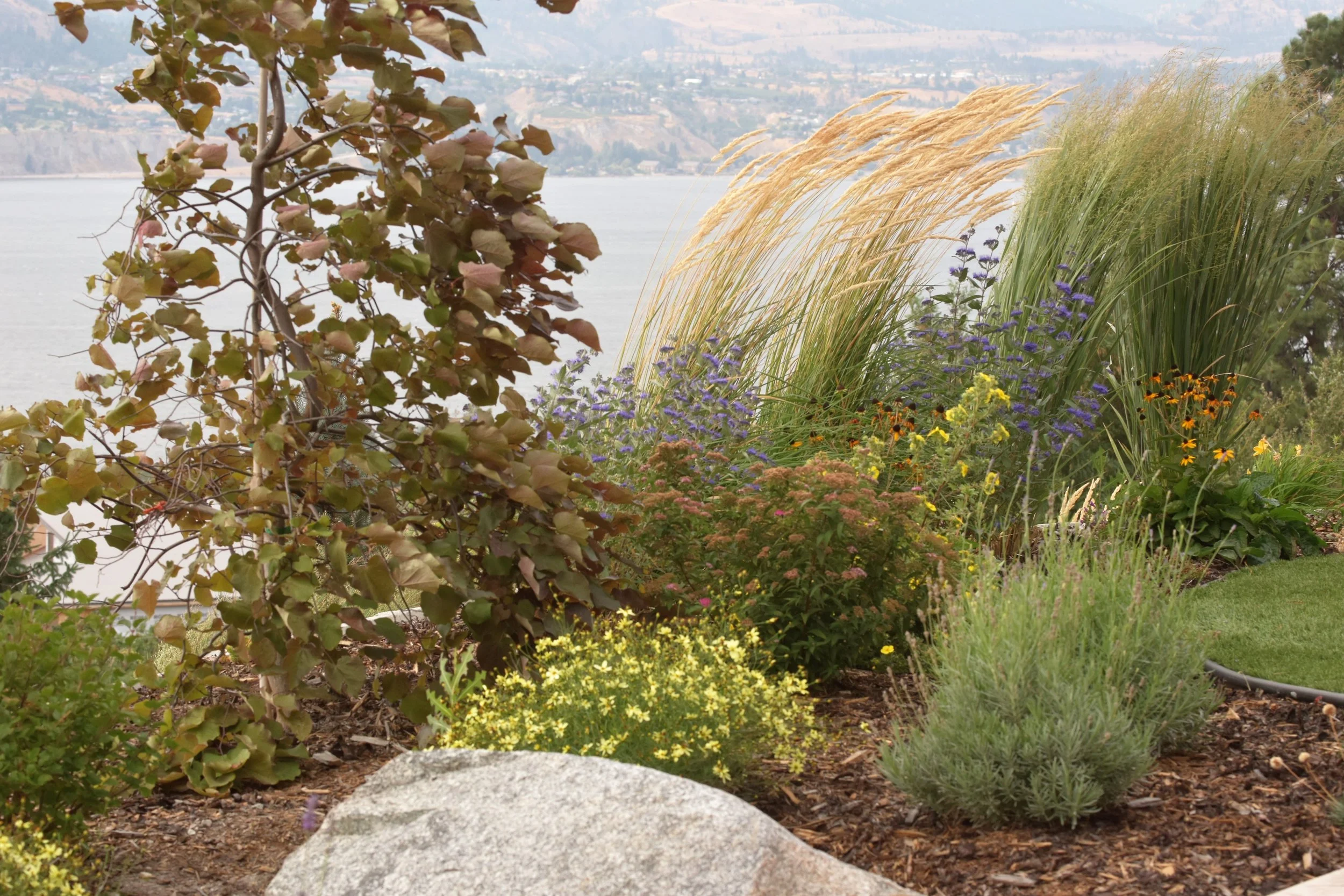 Red Bird Landscapes & Edible Gardens Naramata, BC