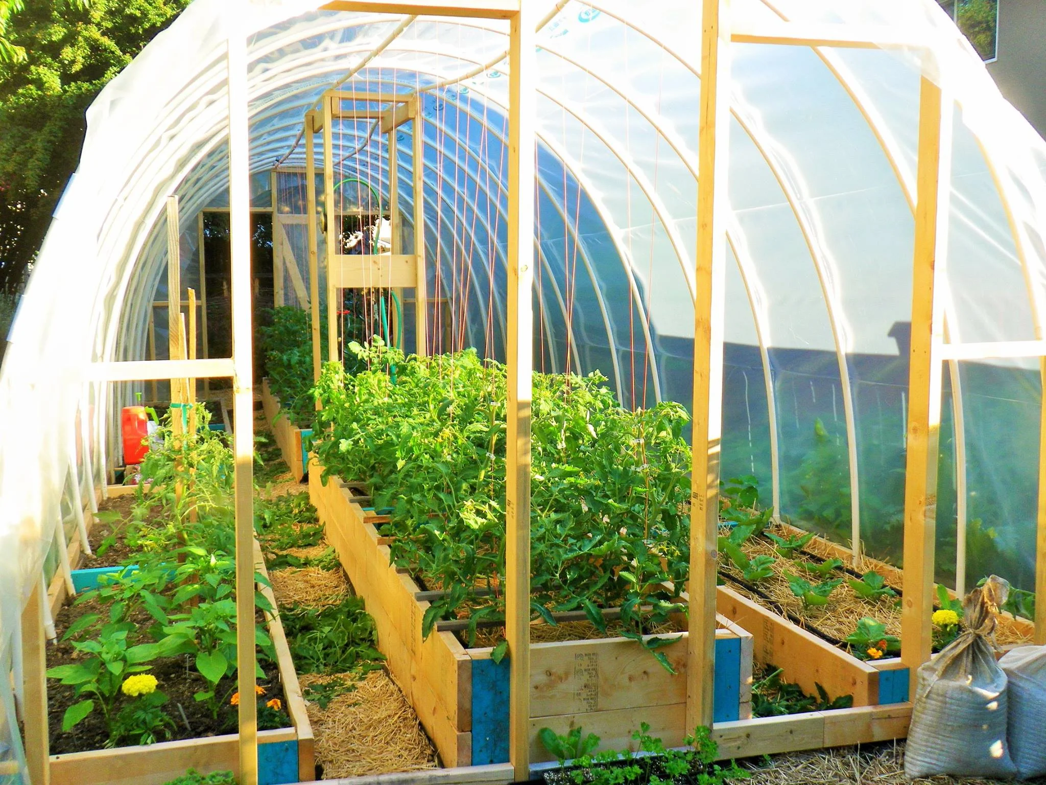 Hoop House Installation