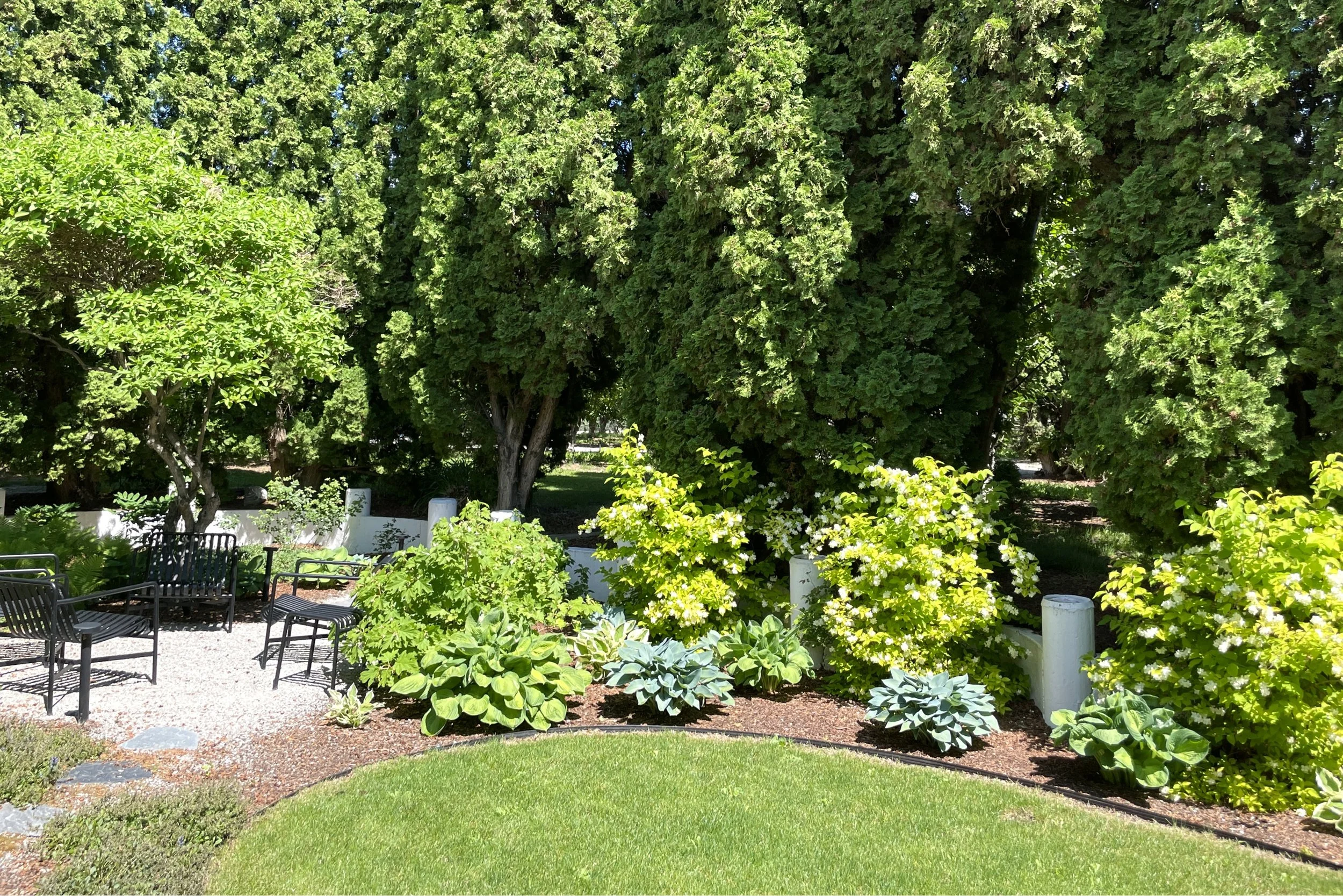 Lawn area