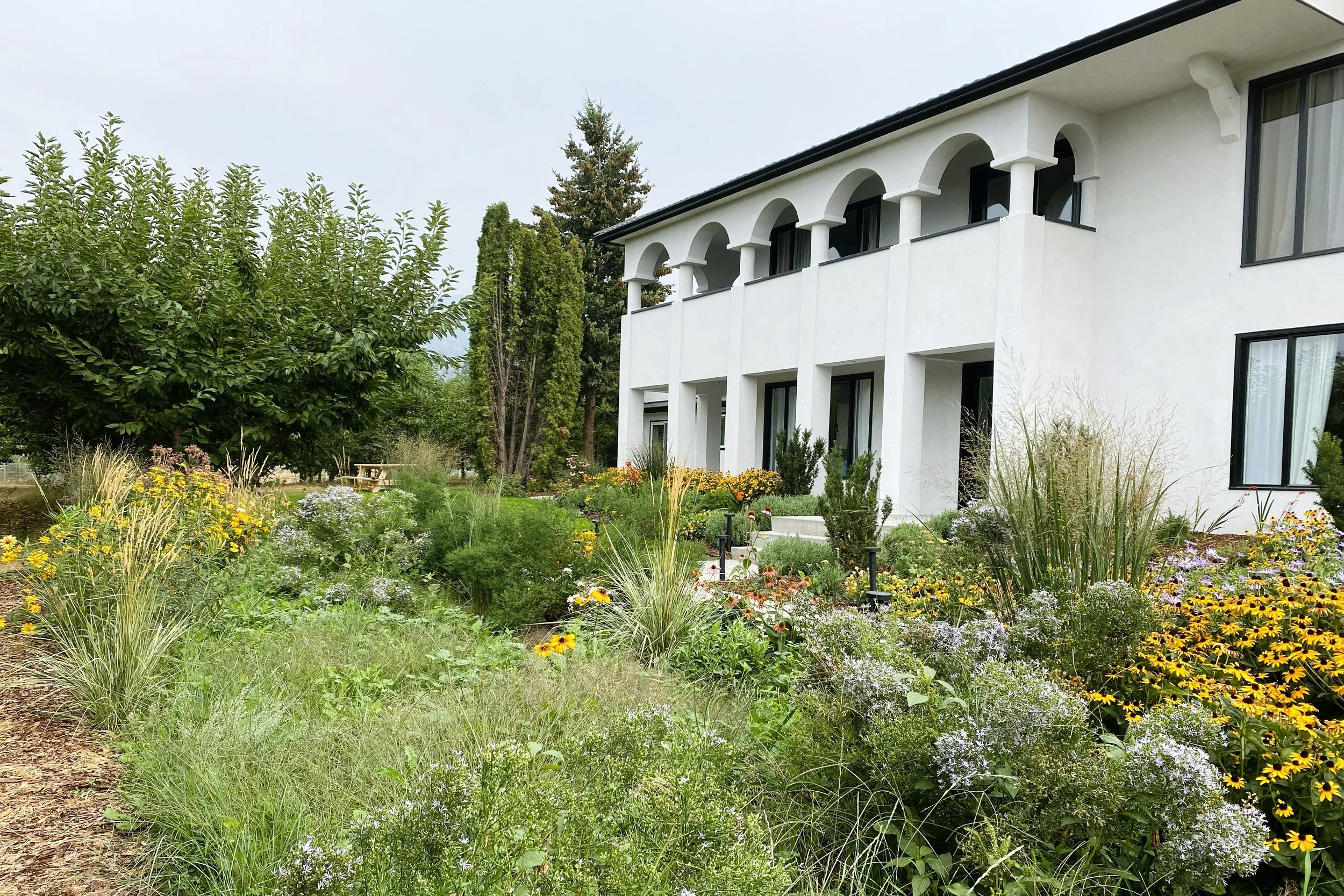 Meadow view to the house
