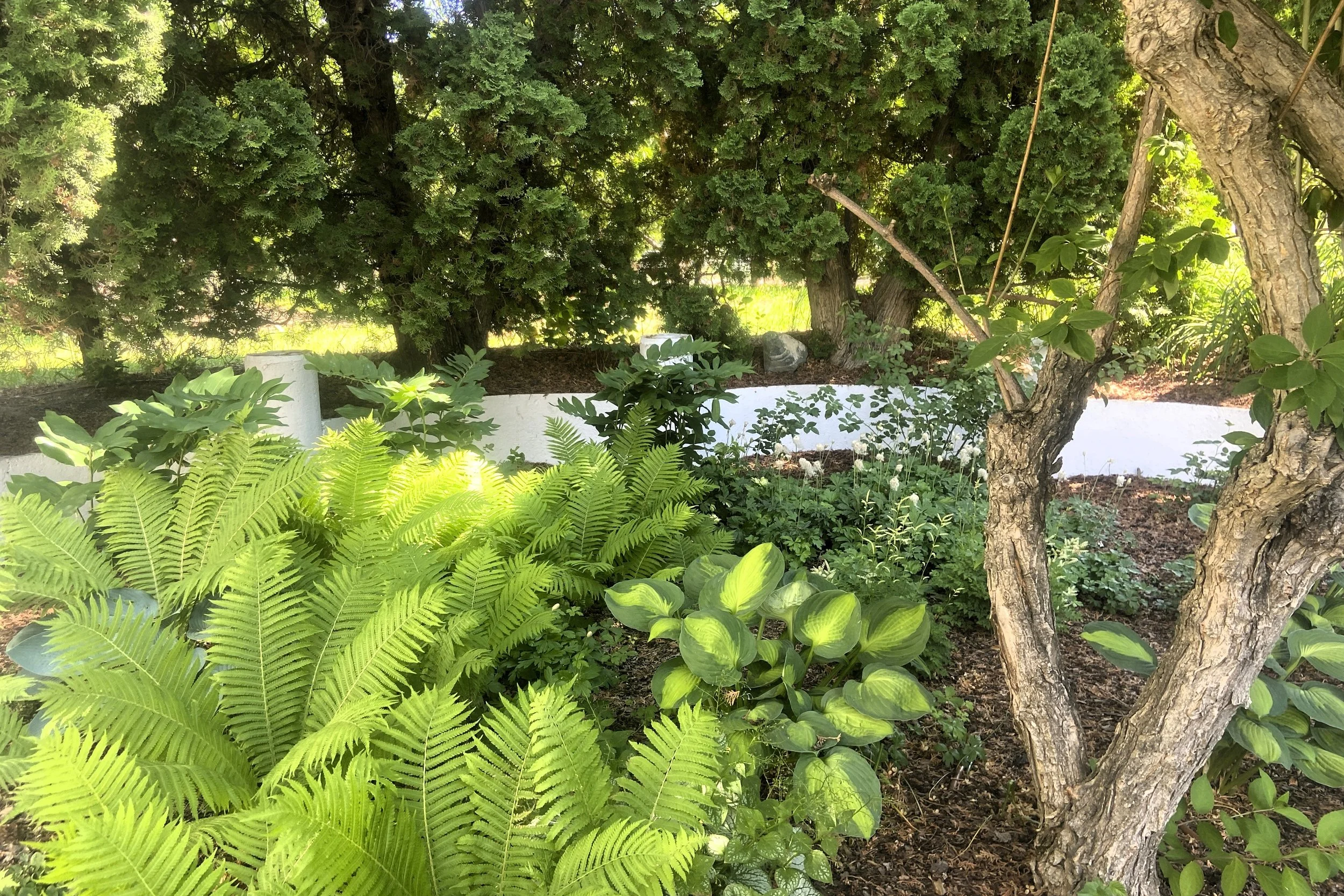 Shade gardens