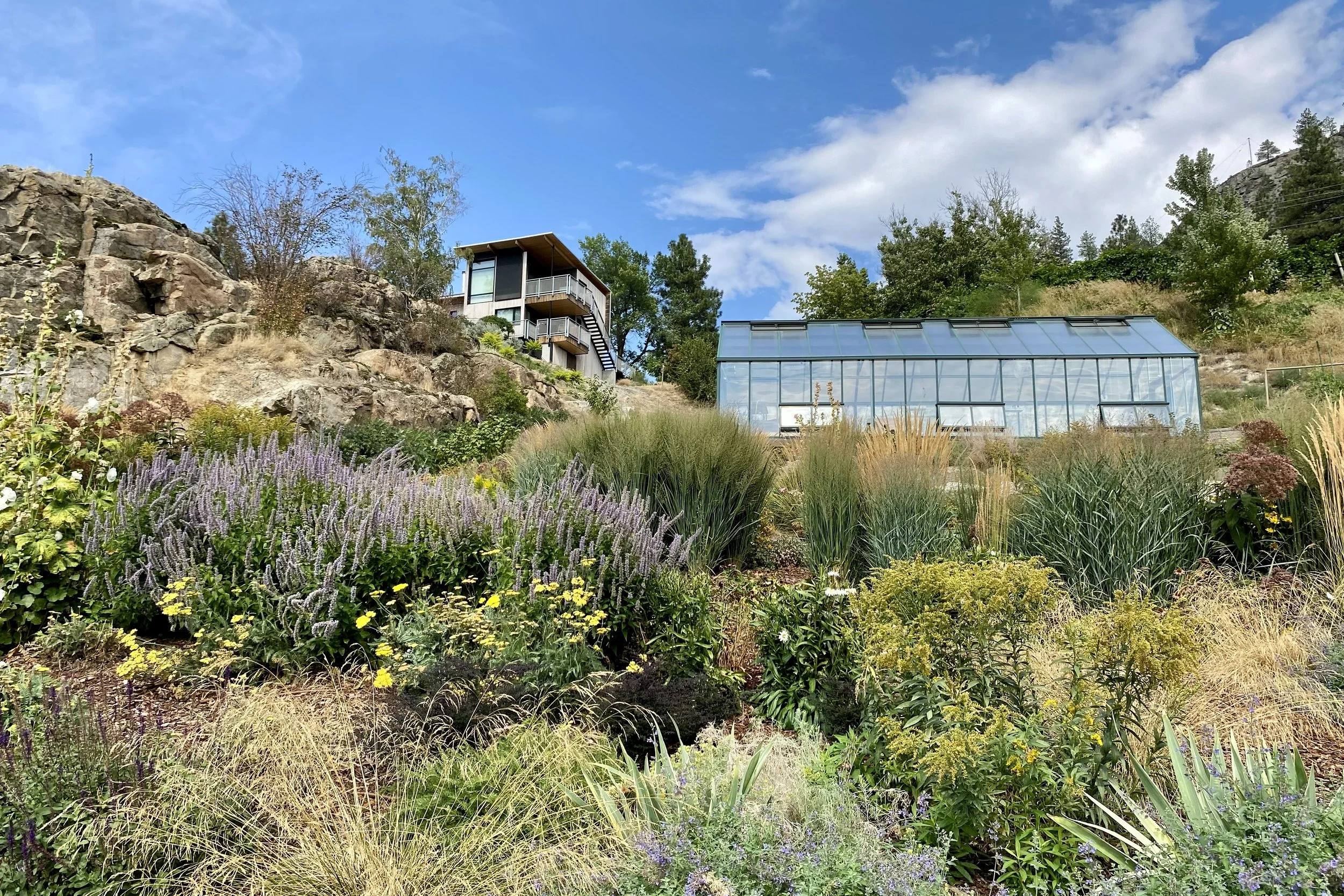 Slope softened by plantings.jpg