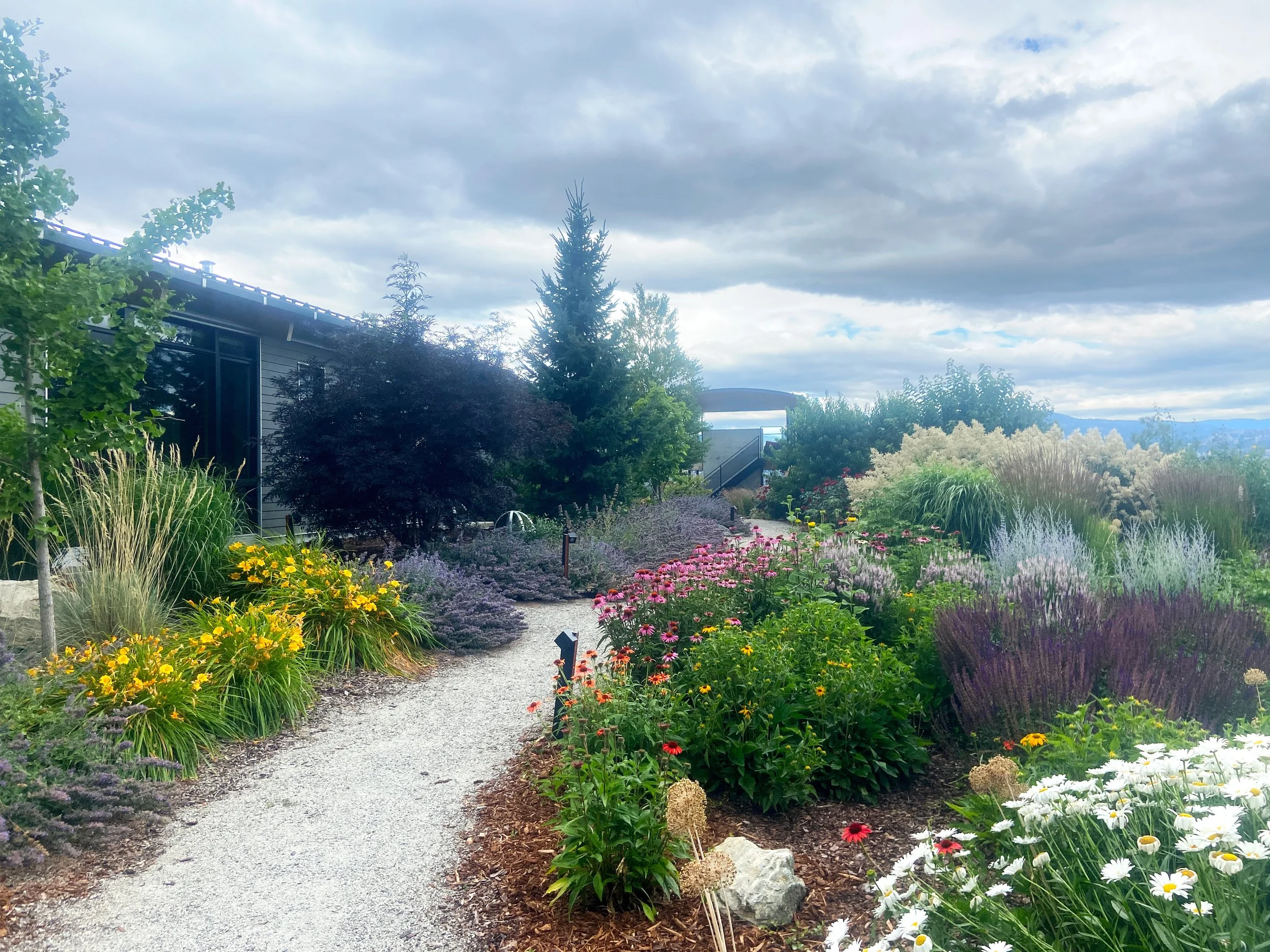 Redbird Meadow.jpg