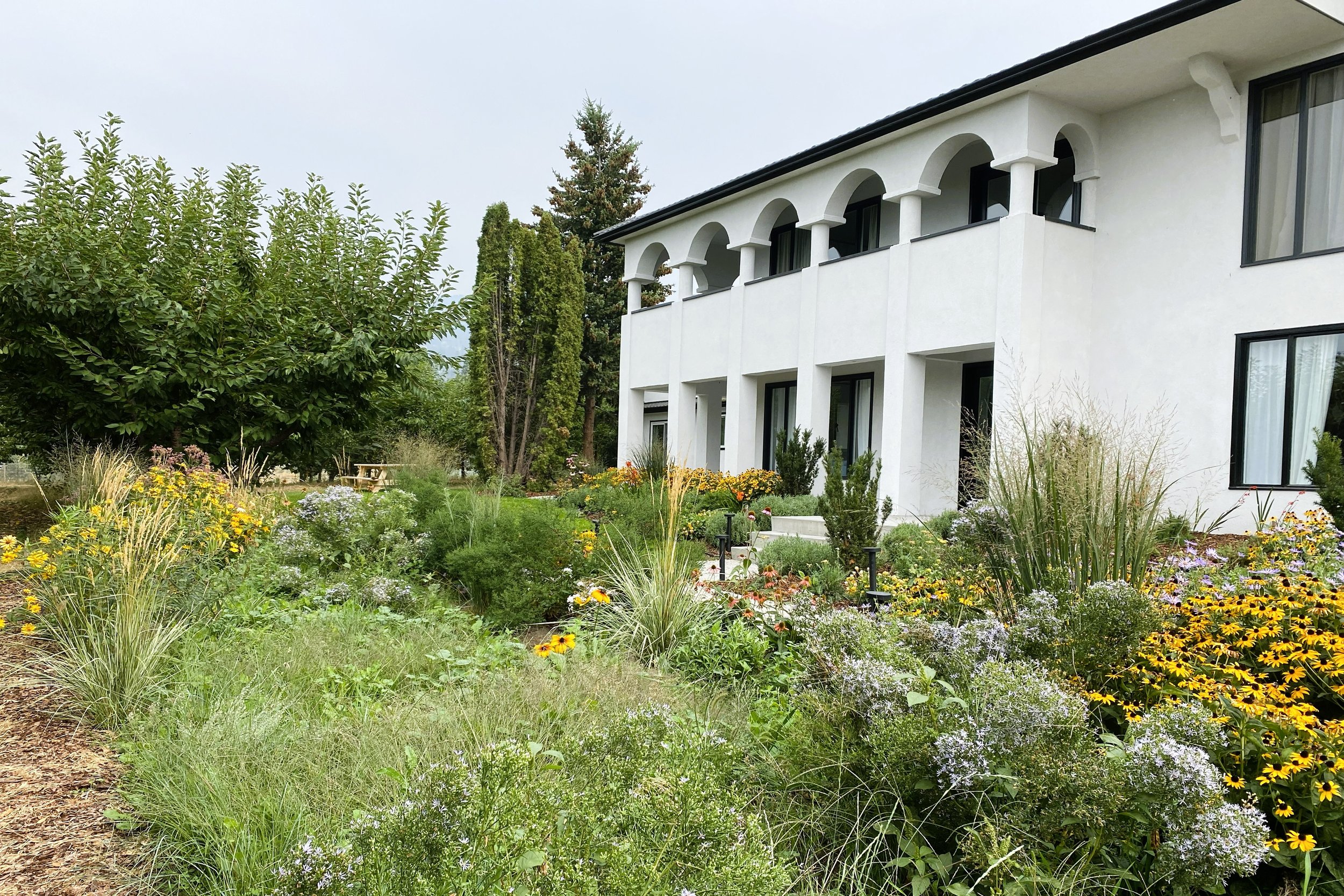 Meadow view to the house.jpg