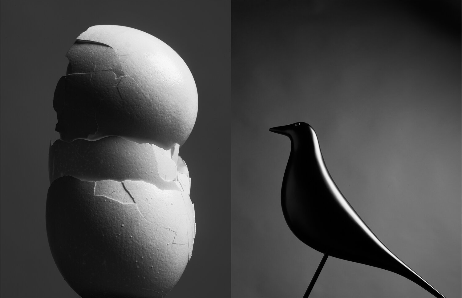 bird+and+eggs+.jpg