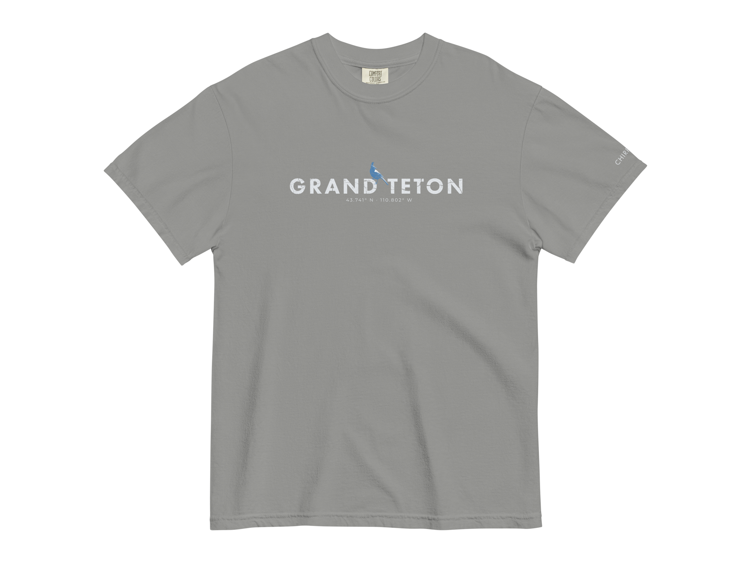 CHIRP COMPANY_GRAND TETON_STELLARS JAY_unisex-garment-dyed-heavyweight-t-shirt-grey-front-694214689ff32.png