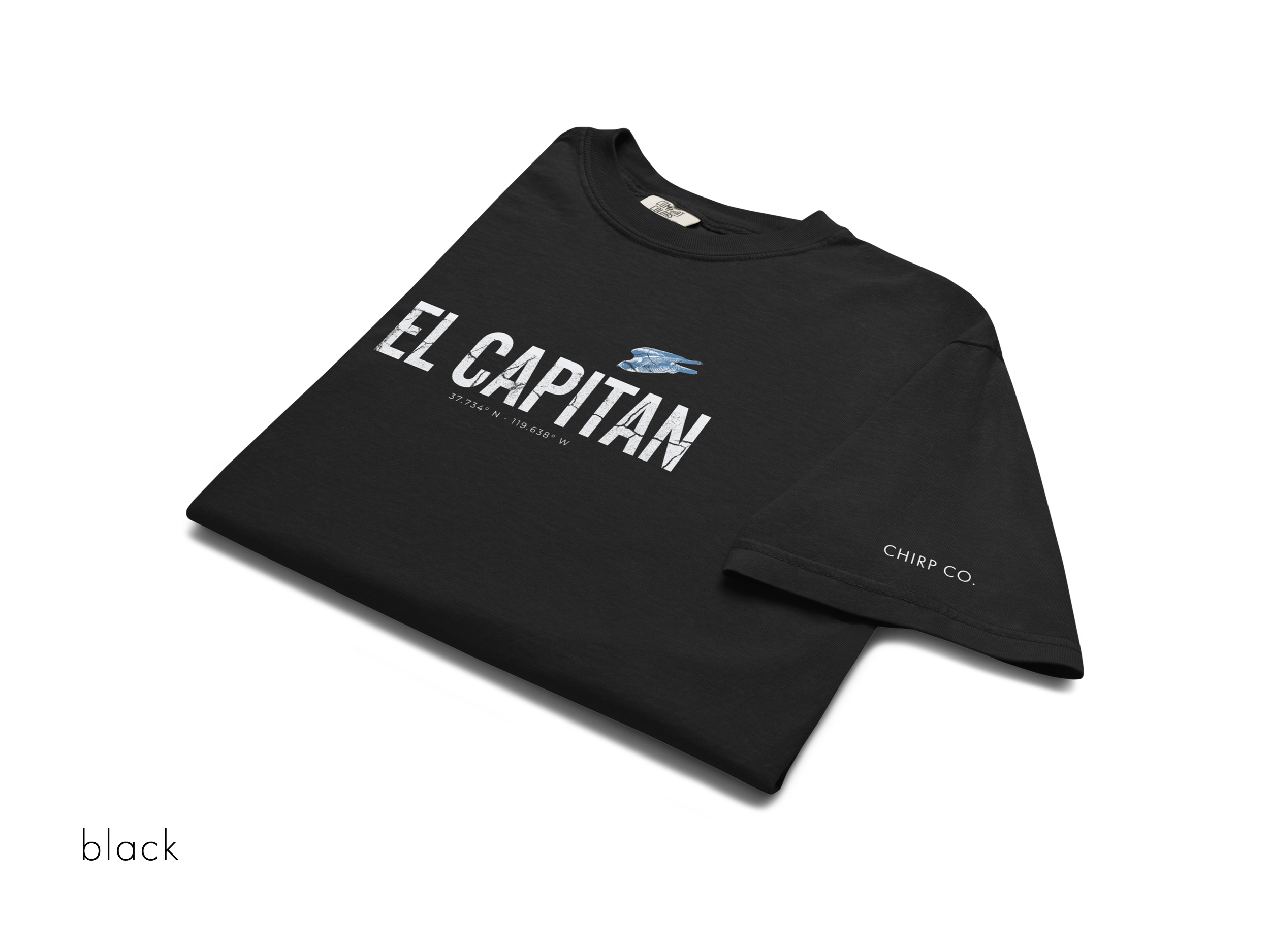 CHIRP COMPANY_EL CAPITAN_PEREGRINE FALCON_unisex-garment-dyed-heavyweight-t-shirt-black-front-699f22b8a71a6.png