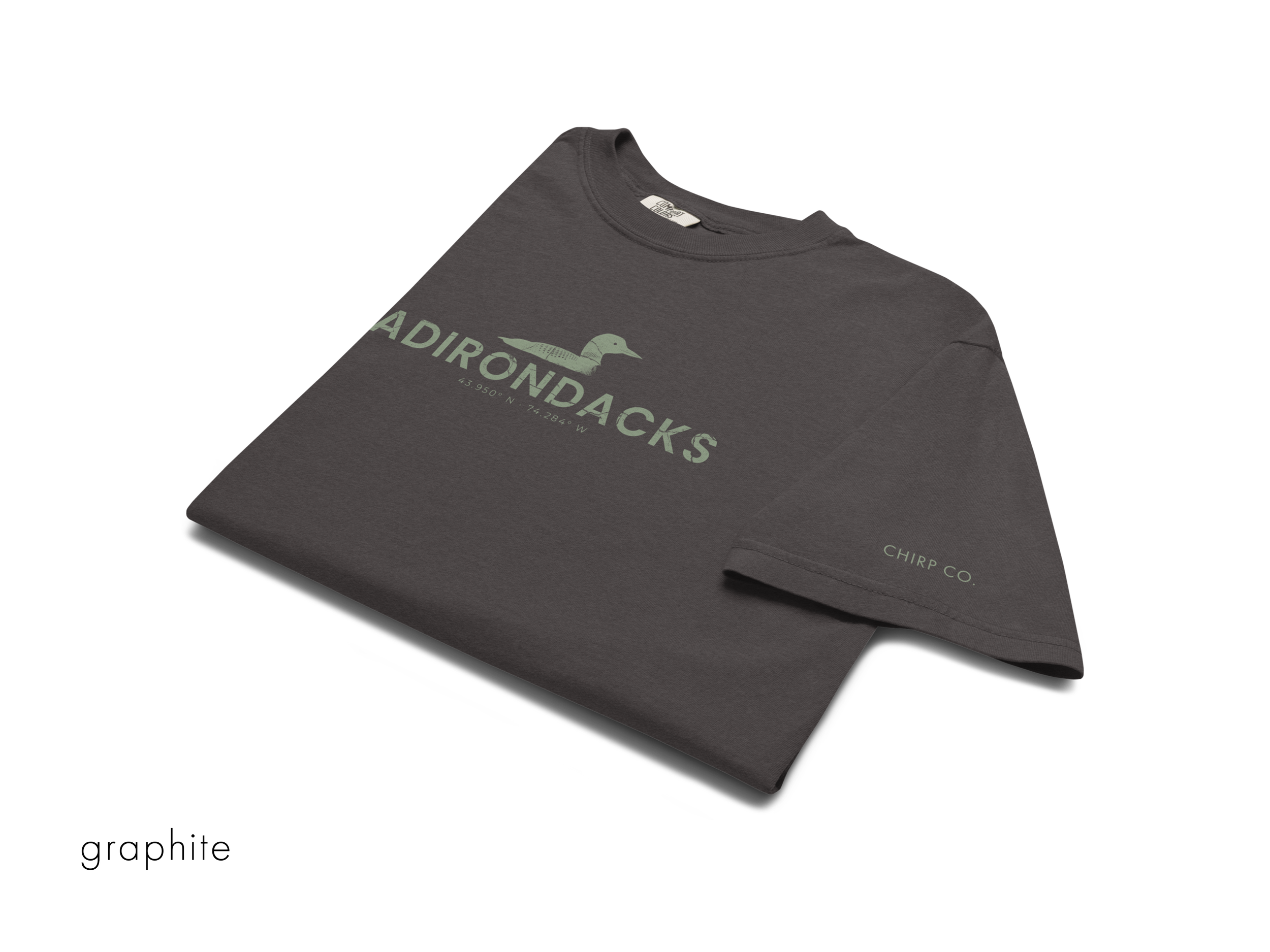 CHIRP COMPANY_ADIRONDACKS_LOON_unisex-garment-dyed-heavyweight-t-shirt-graphite-front-693b27cb9508c.png