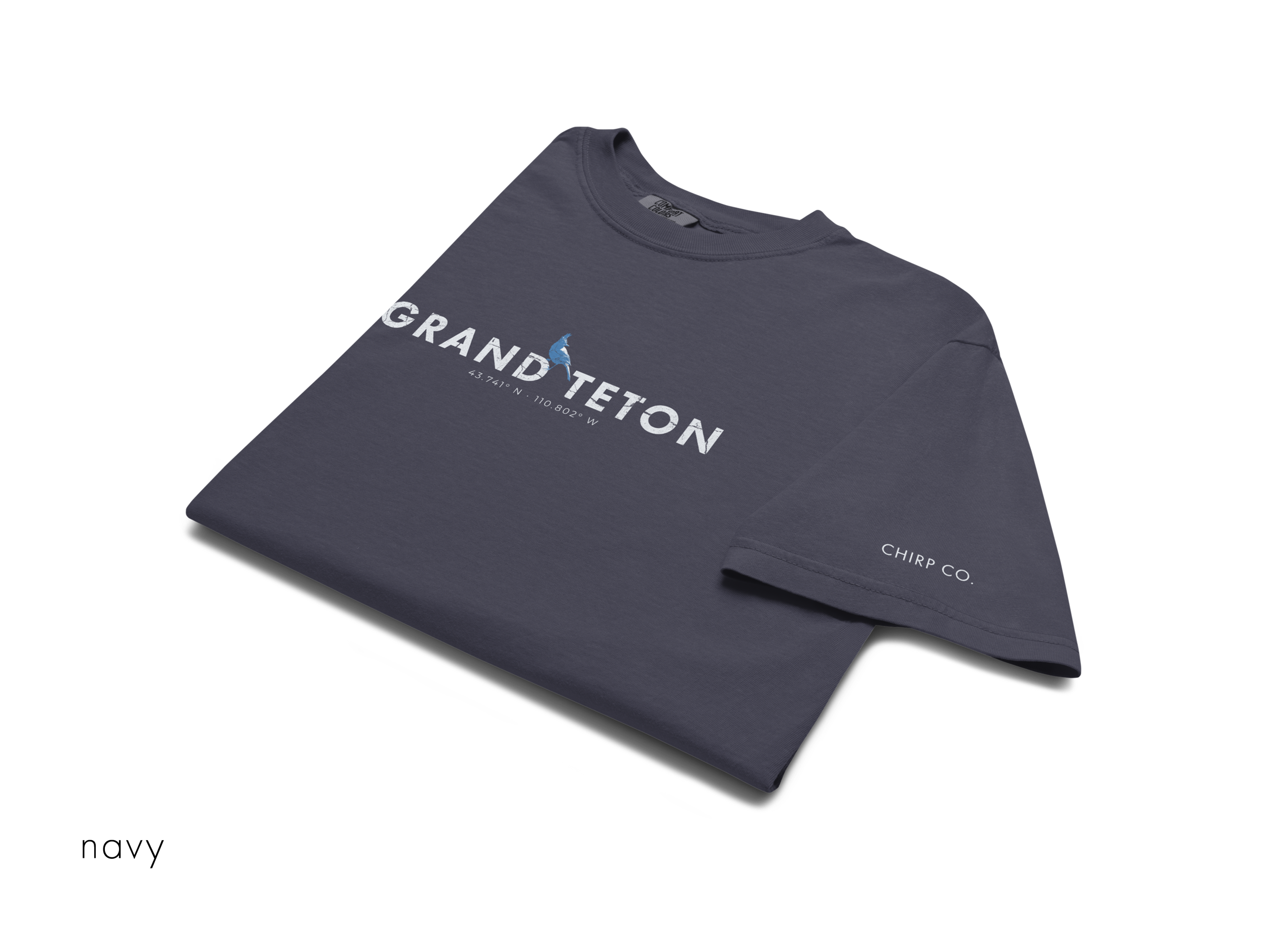 CHIRP COMPANY_GRAND TETON_STELLARS JAY_unisex-garment-dyed-heavyweight-t-shirt-navy-front-69421468a0733.png