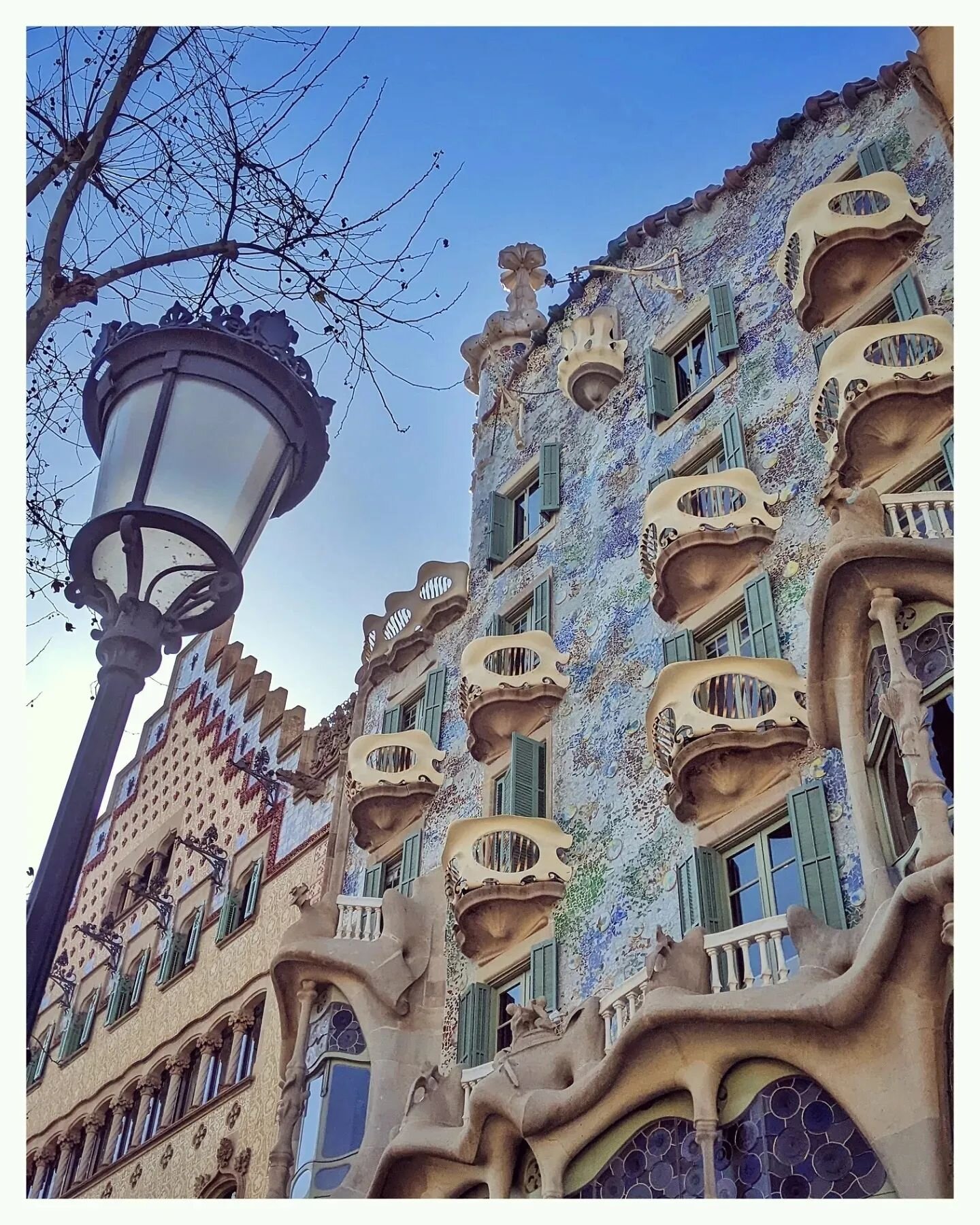 Recently toured Gaudi's inspiring Casa Batllo in Barcelona. Got us thinking - possible future birdhouse design?! 🤔