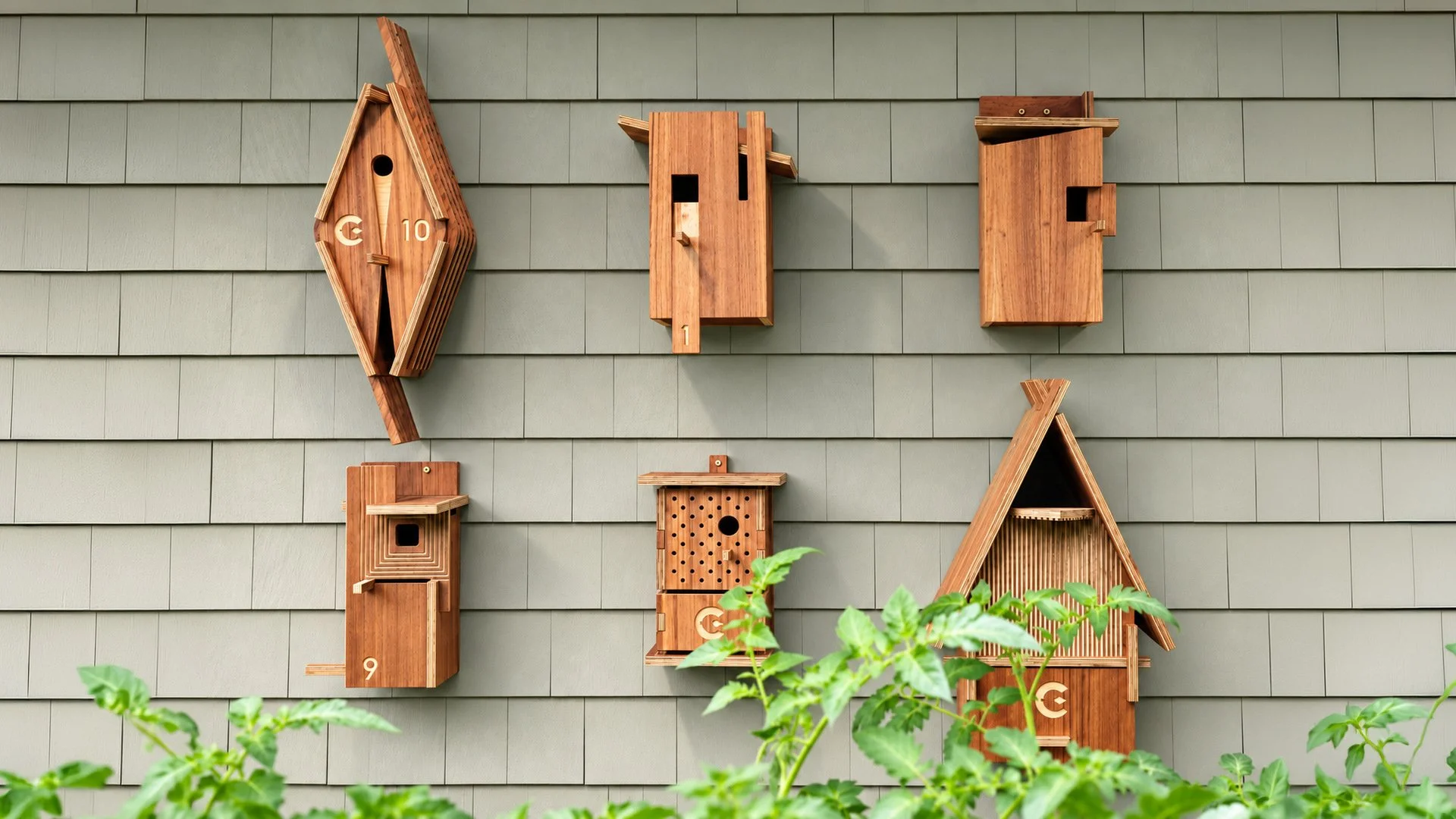 A Little Architecture for the Birds