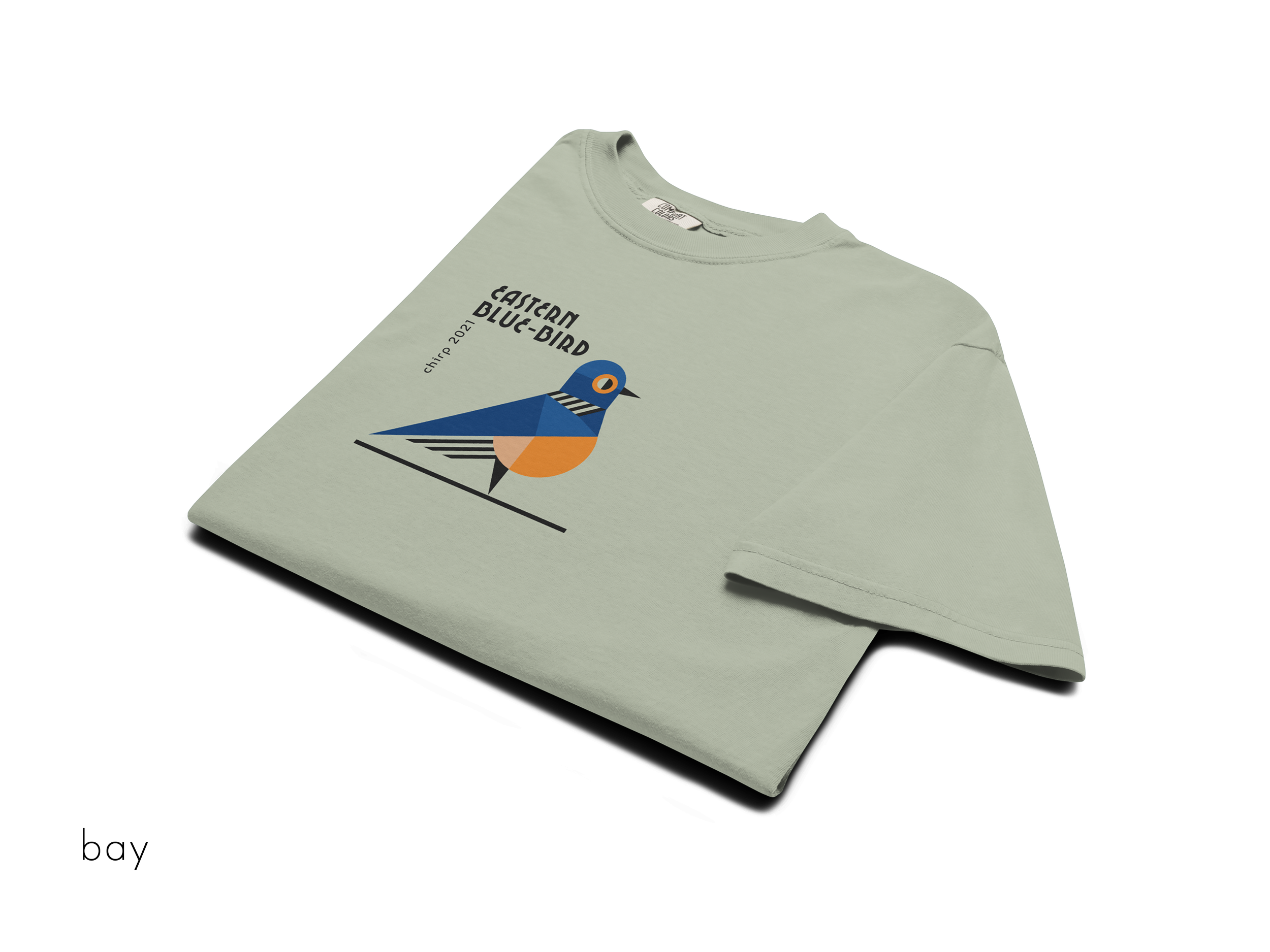 chirp company_unisex-garment-dyed-heavyweight-t-shirt-bay-front-691d24a057025.png
