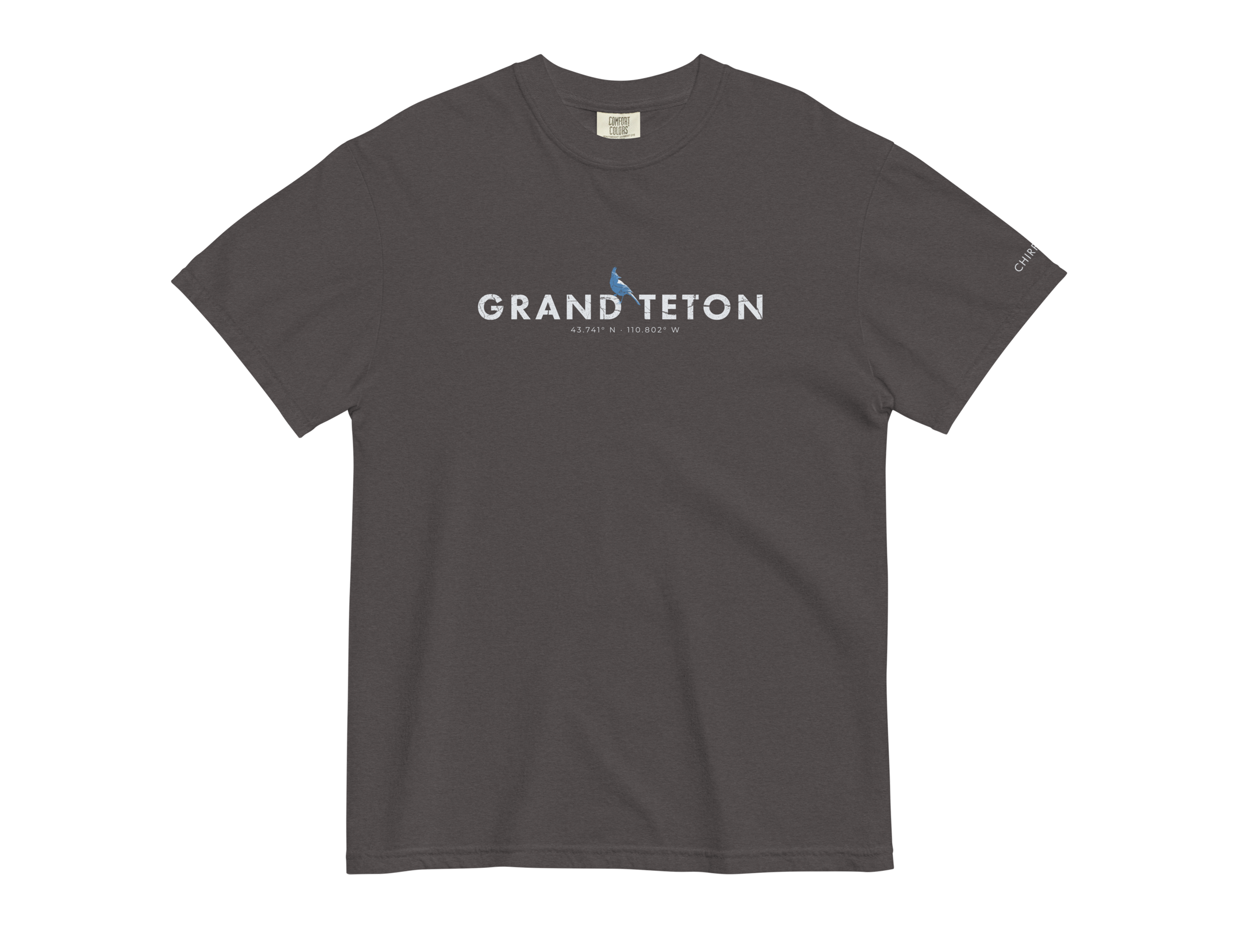 CHIRP COMPANY_GRAND TETON_STELLARS JAY_unisex-garment-dyed-heavyweight-t-shirt-graphite-front-694214689ffaf.png