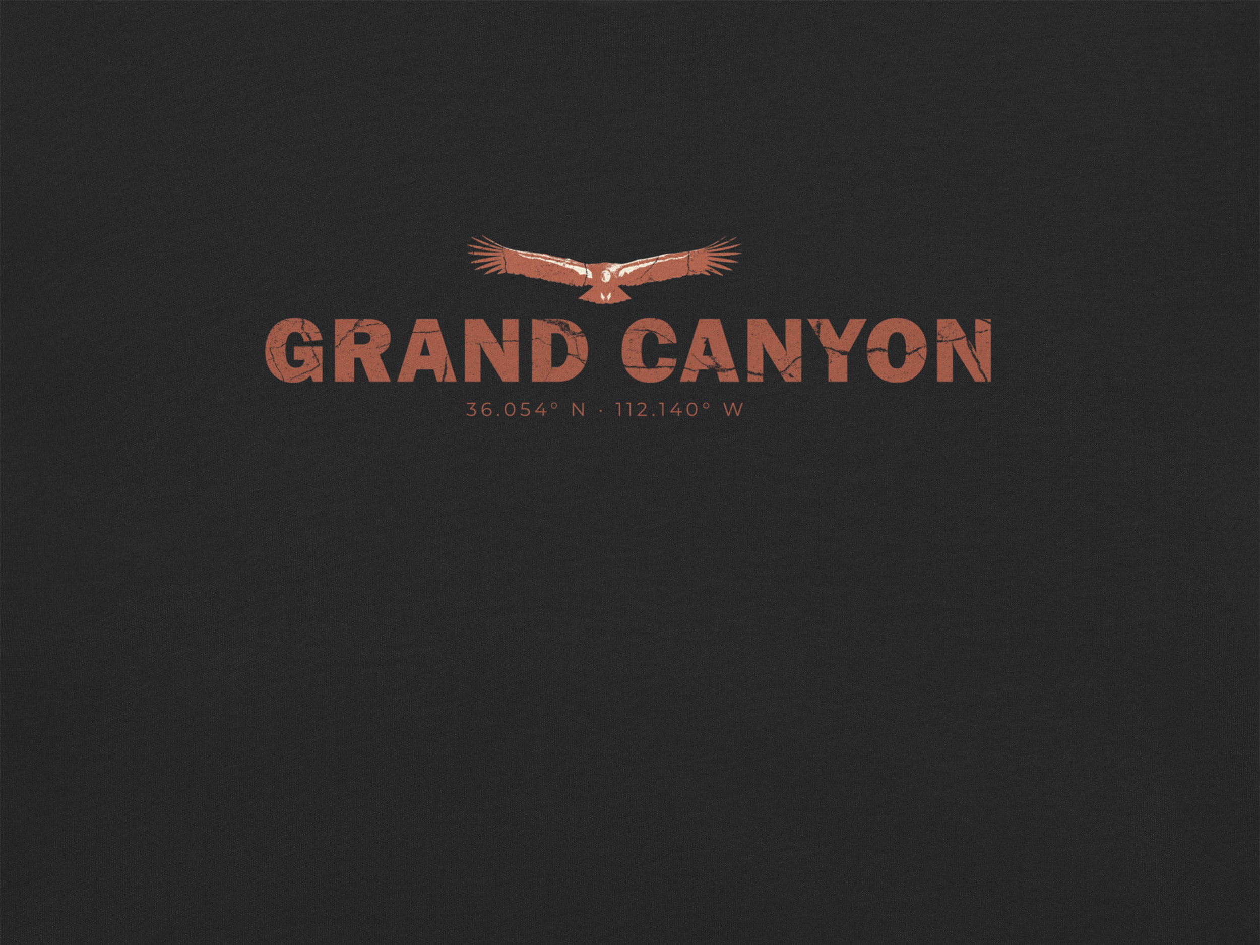 CHIRP COMPANY_GRAND CANYON_CALIFORNIA CONDOR (CLOSE UP)_.png